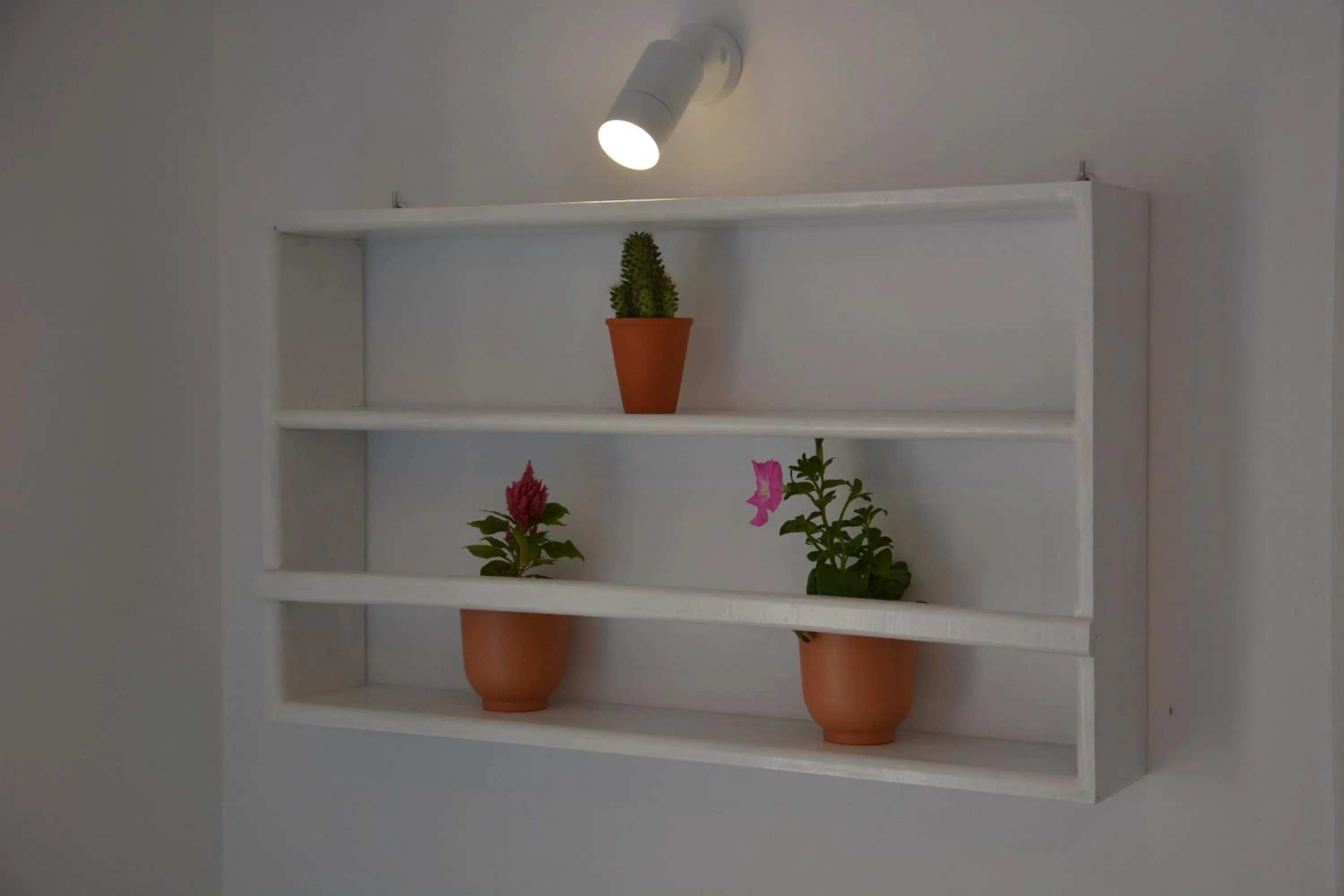 Drouga's Studios & Suites Astypalaia Greece