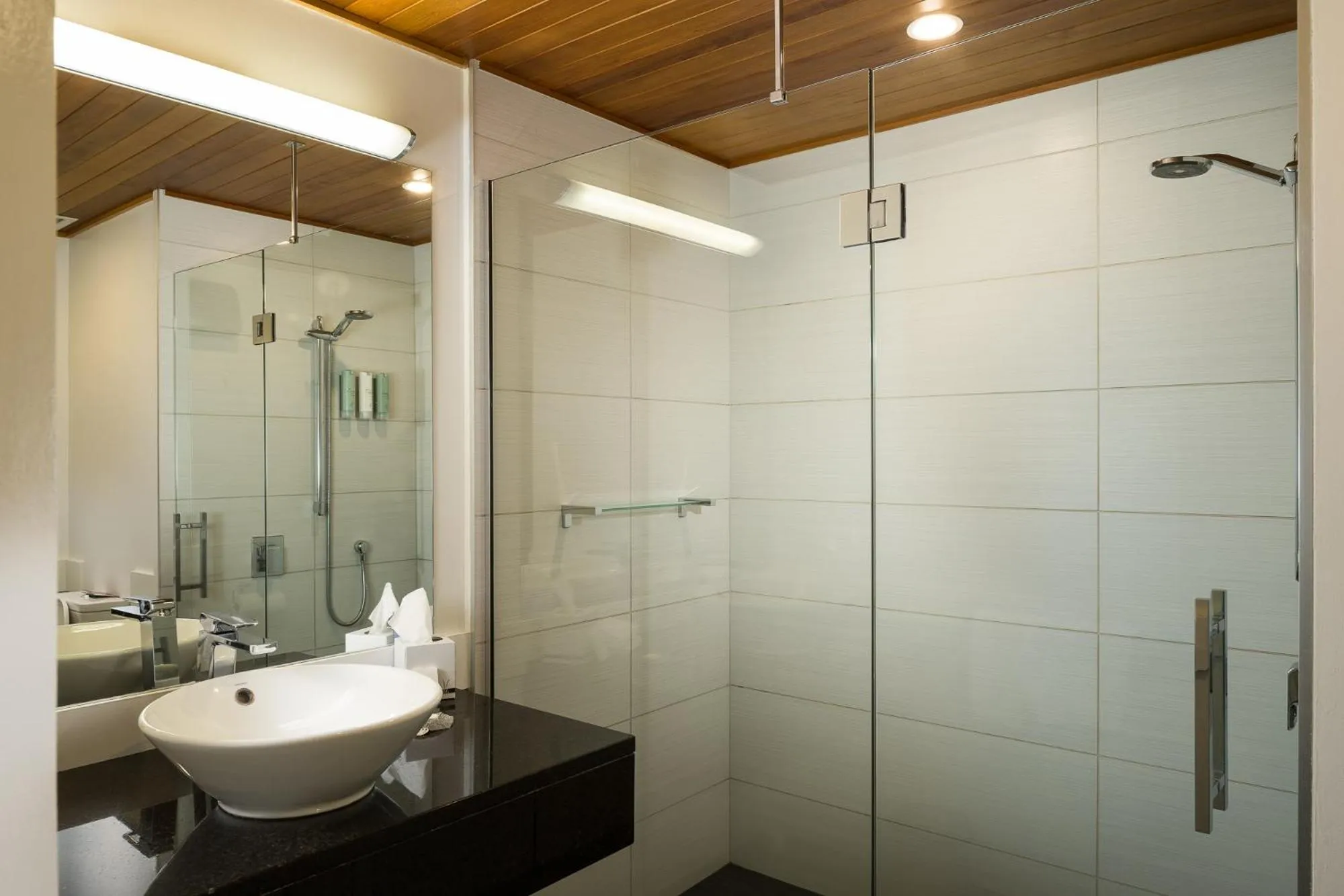 Shower in Carnmore Chateau Marlborough