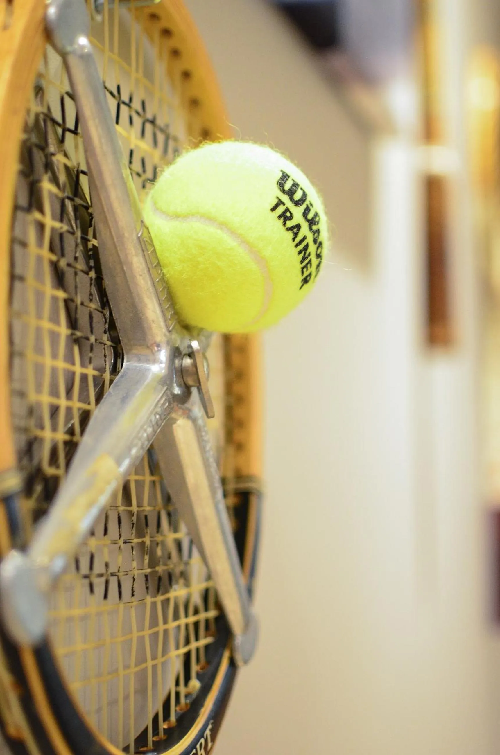 Activities in AGA Tenis Apartments by Radwańska