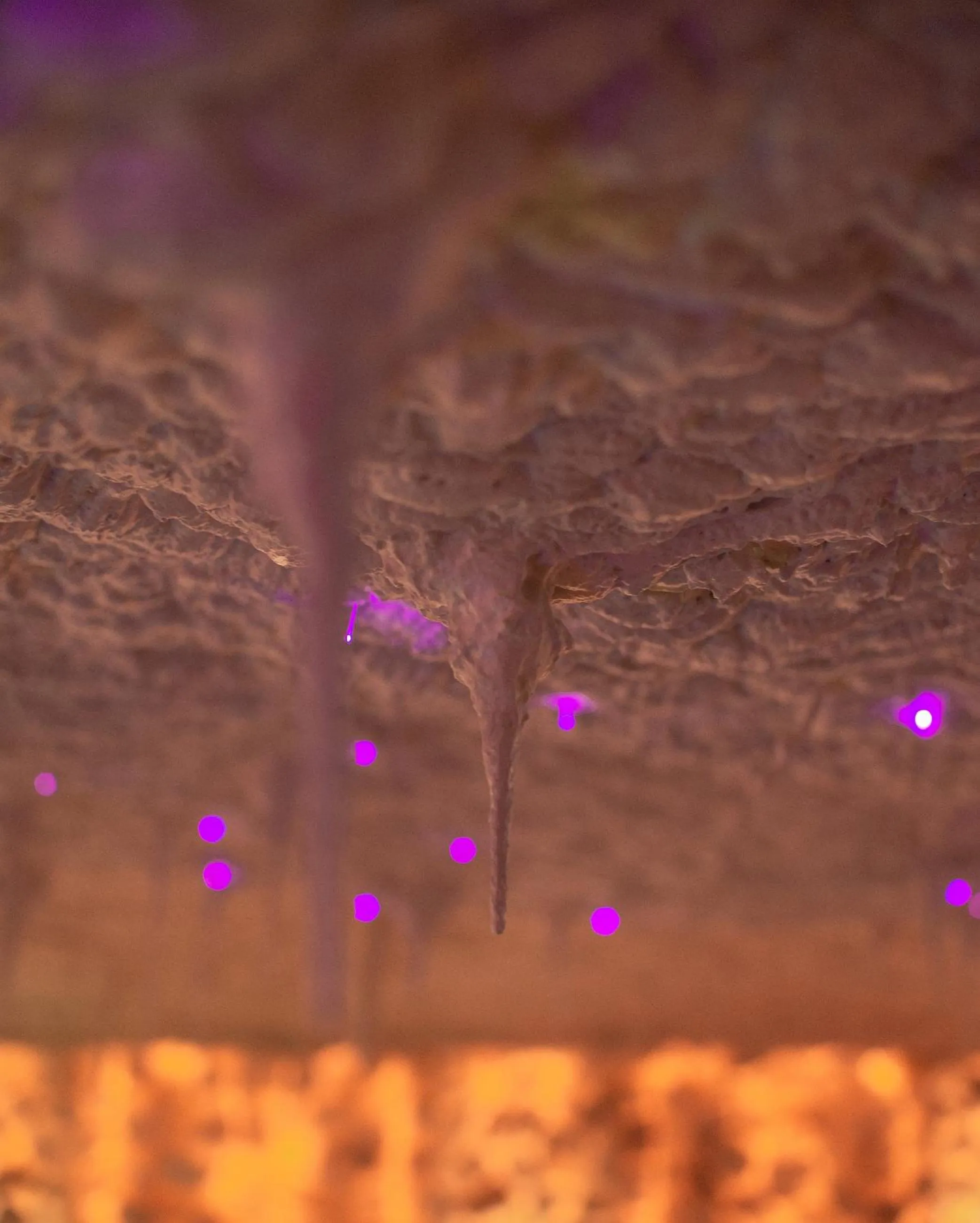 Lobby or reception in AGA Tenis Apartments by Radwańska