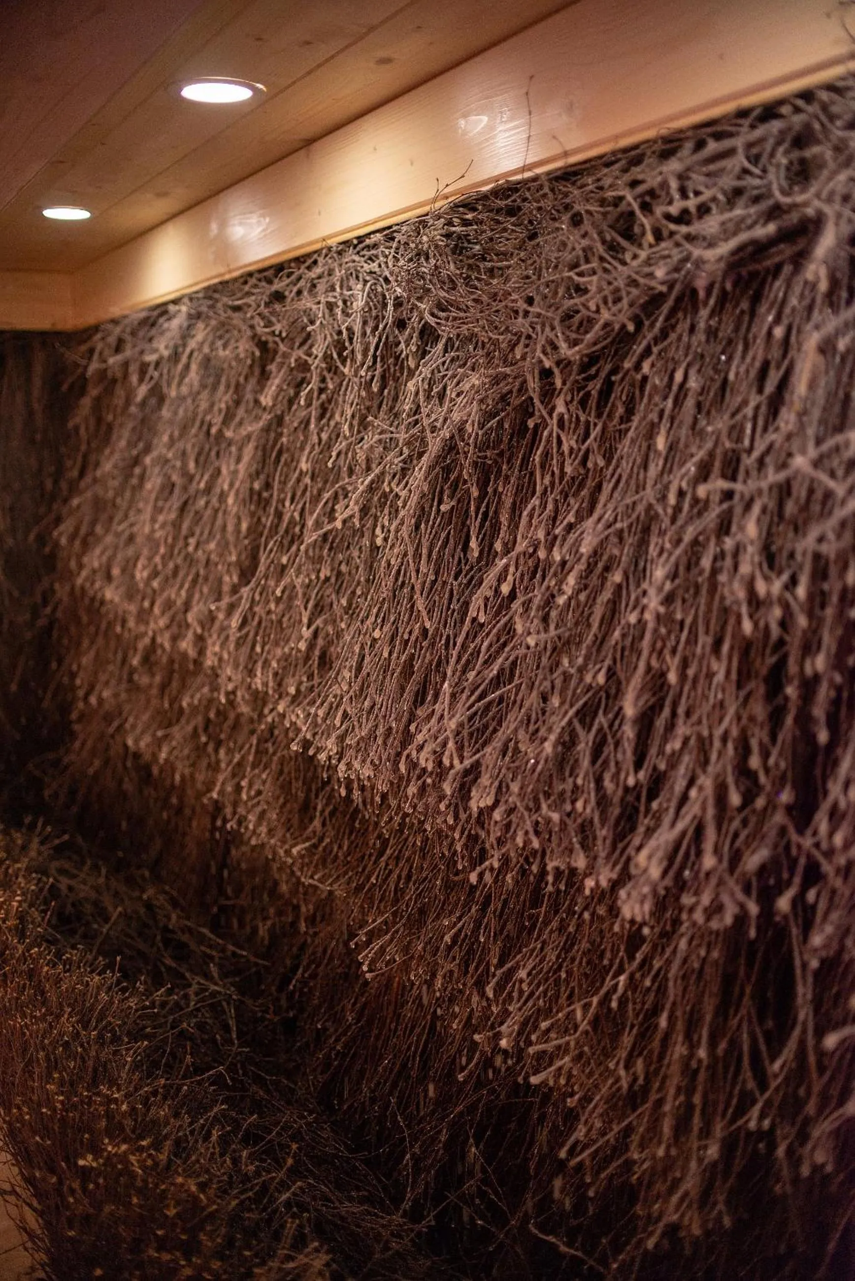 Activities in AGA Tenis Apartments by Radwańska