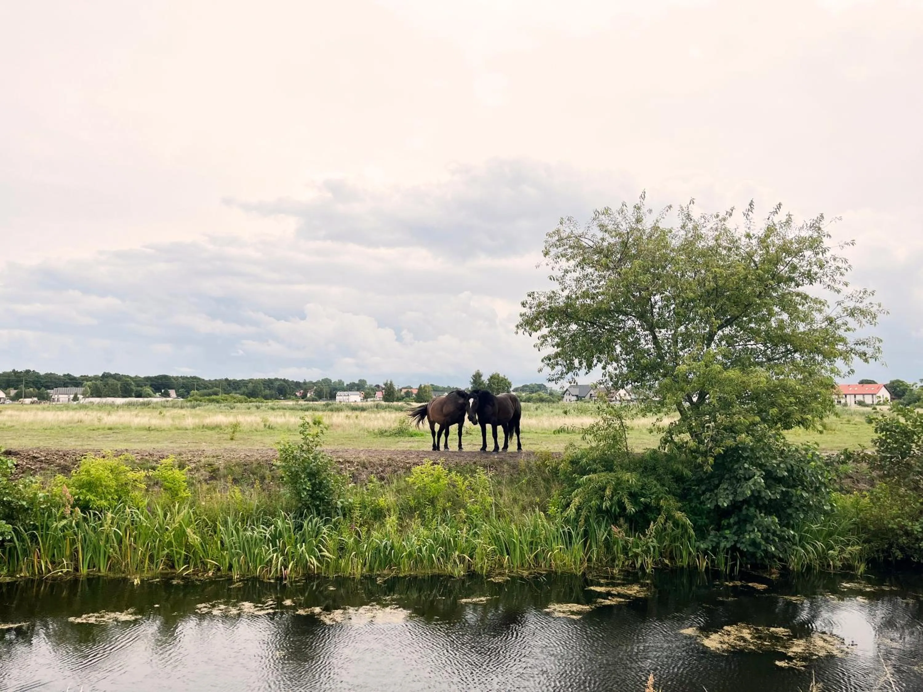 Off site in Domki Laba