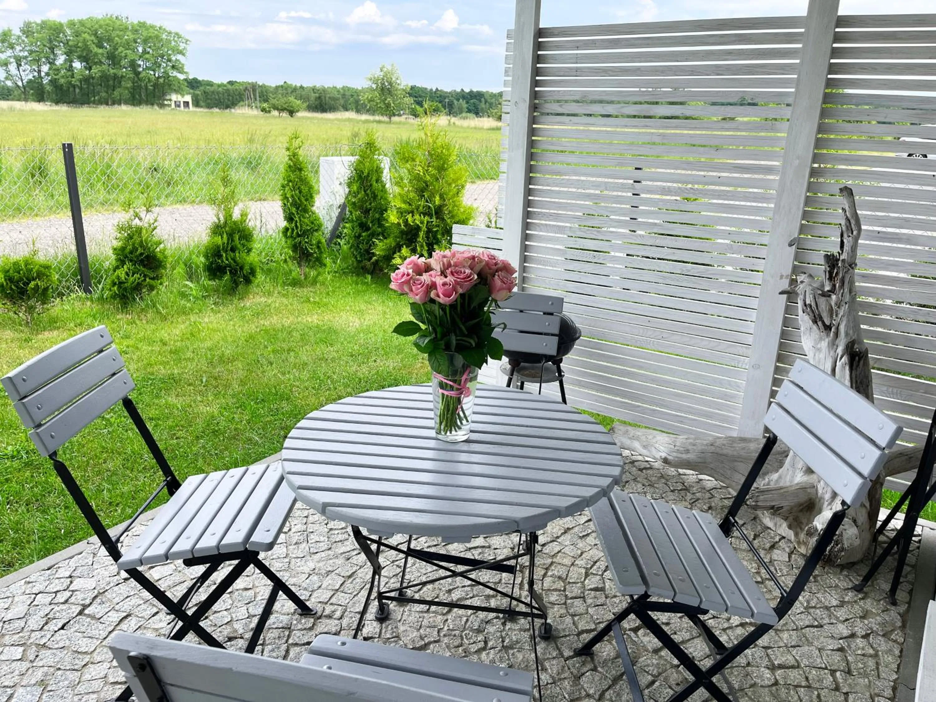 BBQ facilities in Domki Laba