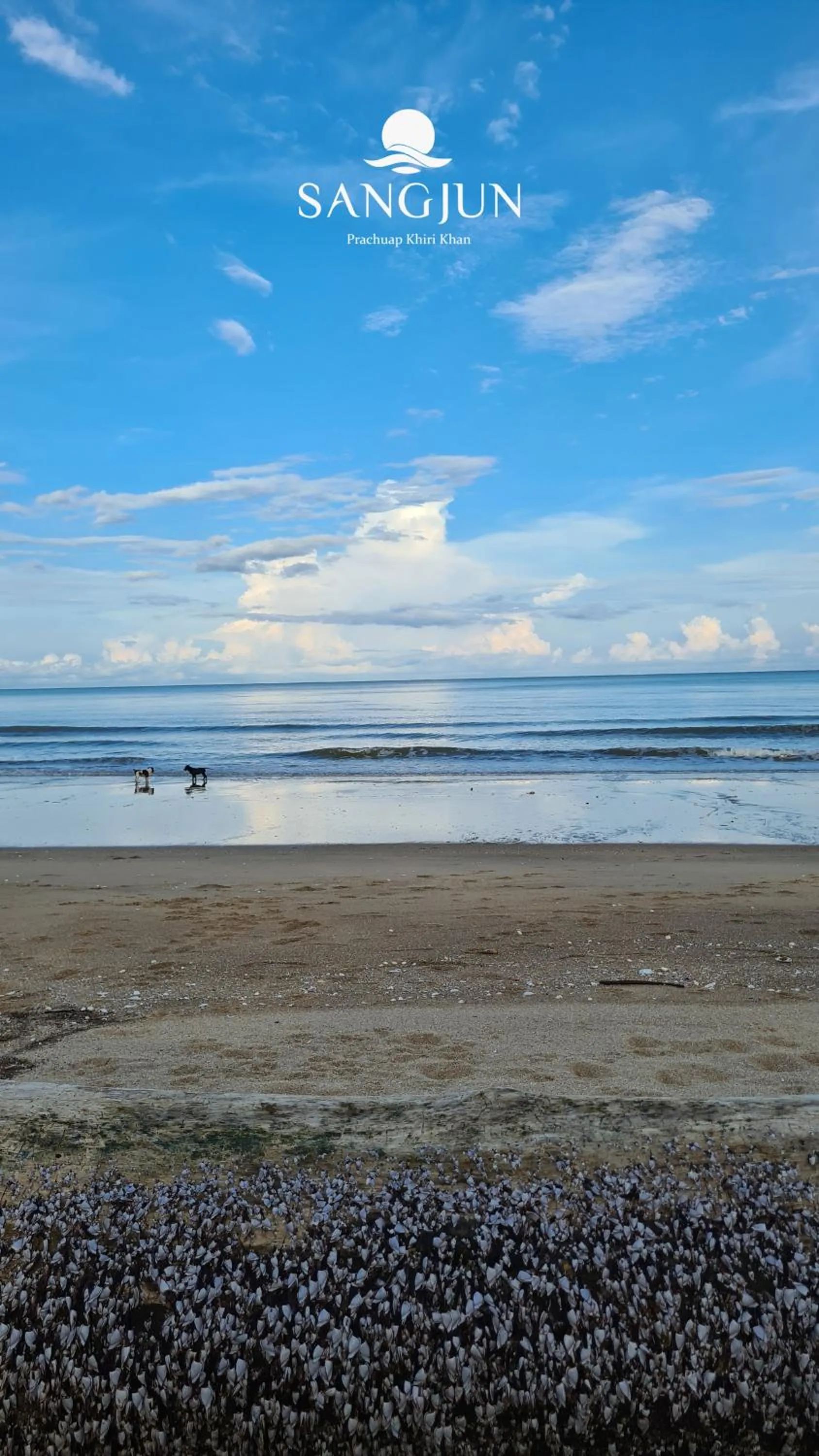 Beach in Sangjun On Beach Resort