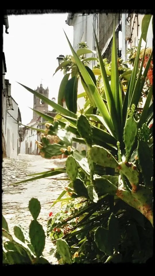 Other in Apartamentos Casas Rurales "Paraje San Blas" TR-BA-00166