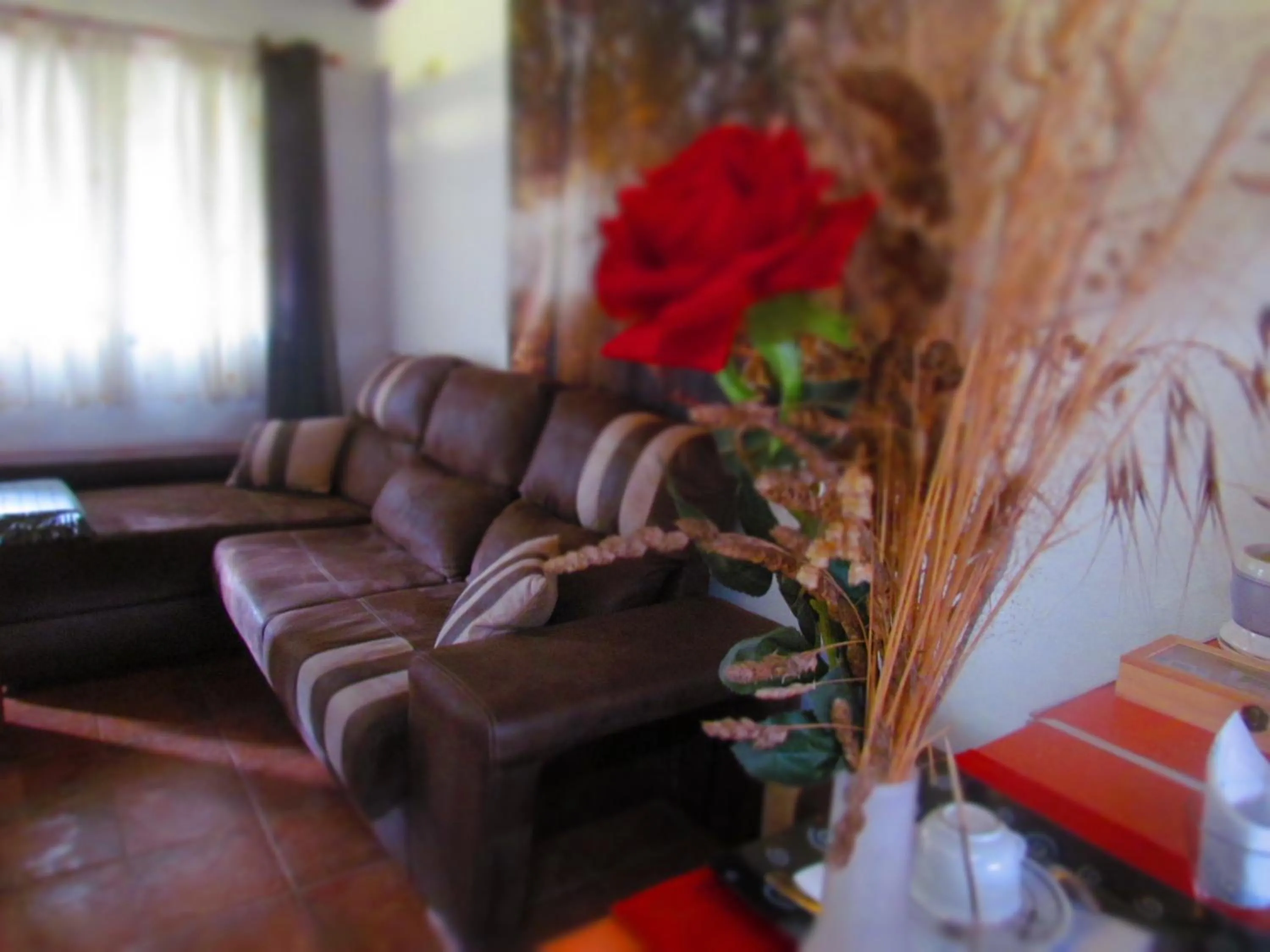 Decorative detail in Apartamentos Casas Rurales "Paraje San Blas" TR-BA-00166
