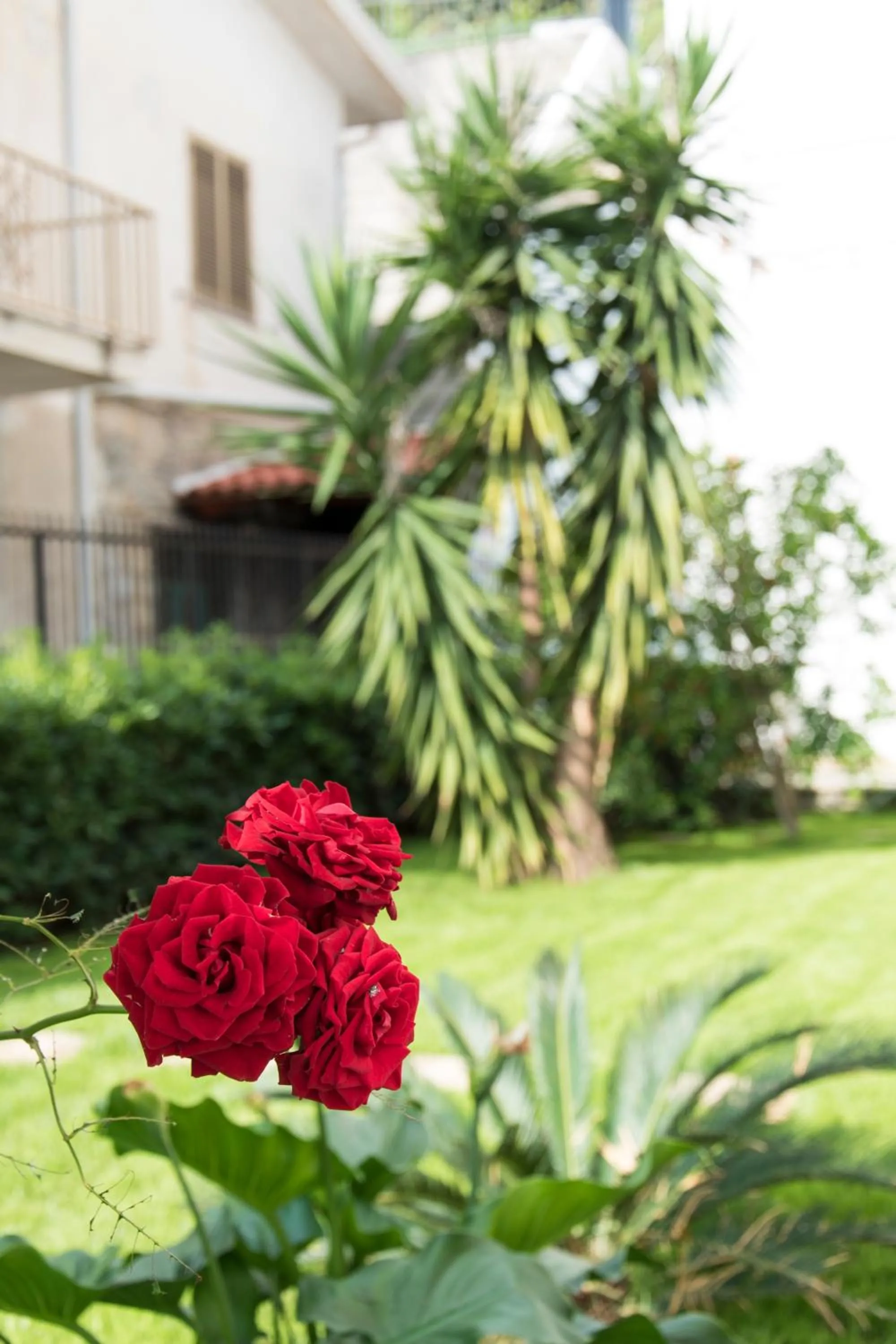 Garden view in L'oasi di Giorgia