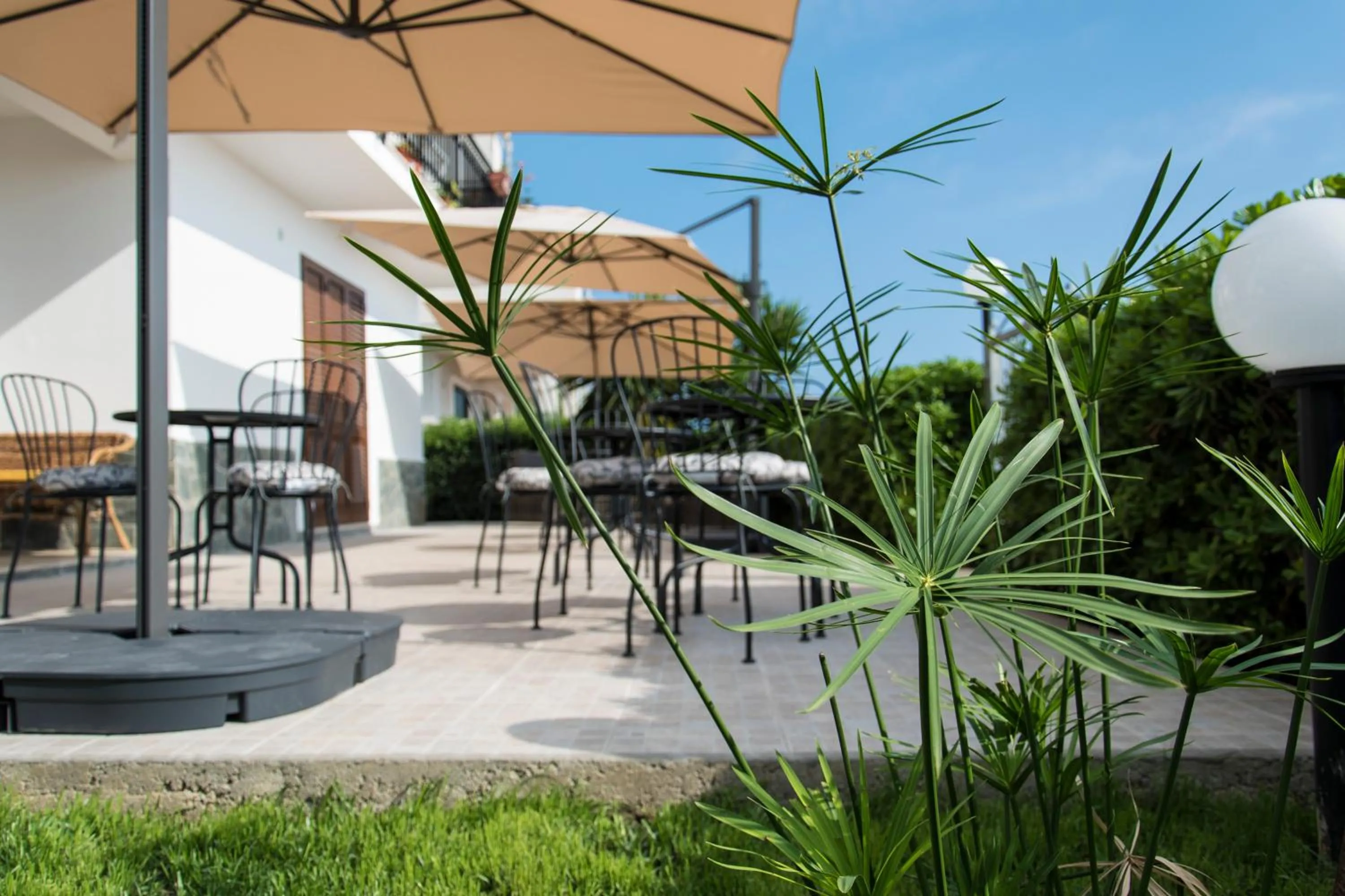 Patio in L'oasi di Giorgia