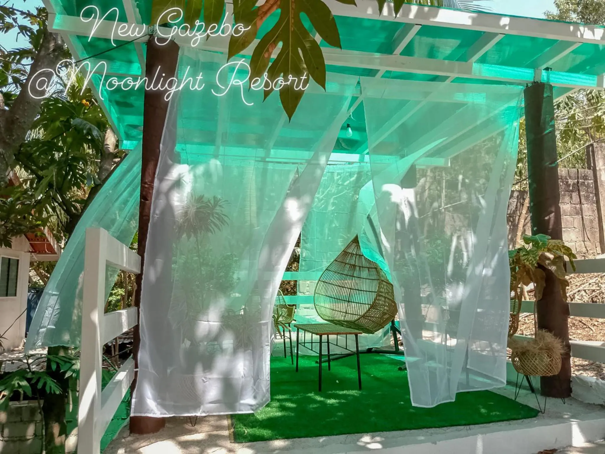 Balcony/Terrace in Moonlight Resort