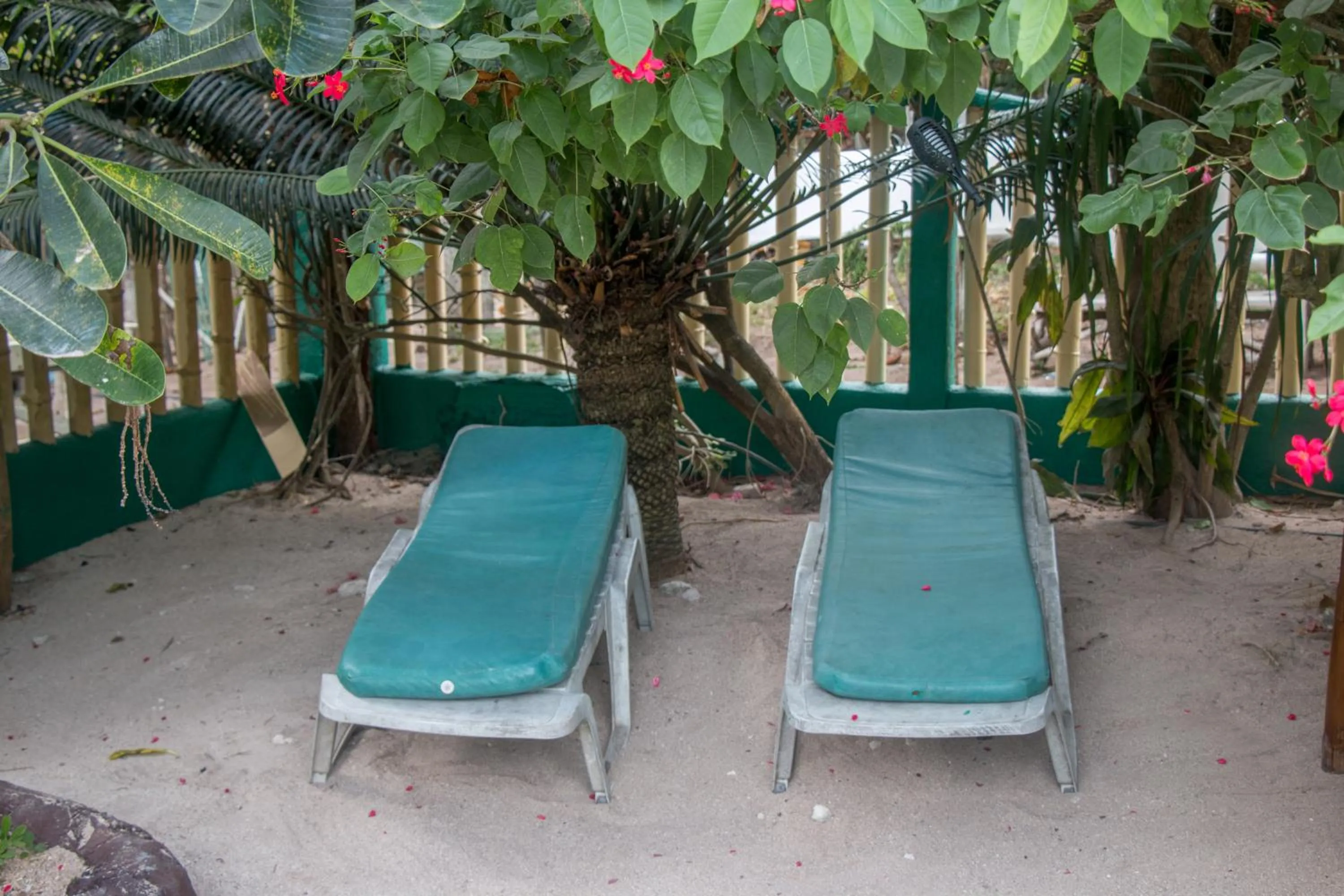 Garden in Moonlight Resort