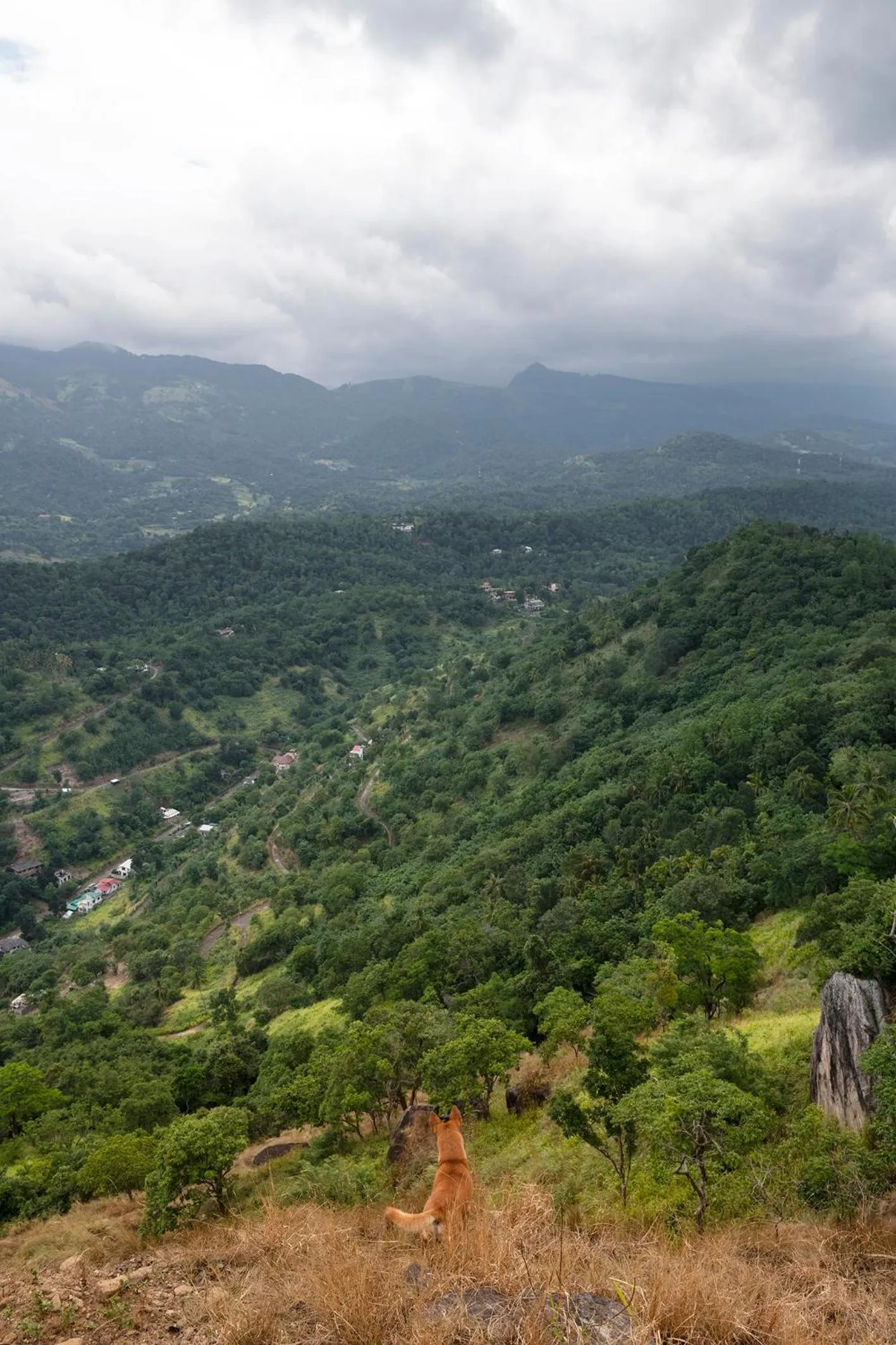 Hiking in Kandy Victoria Eco Resort