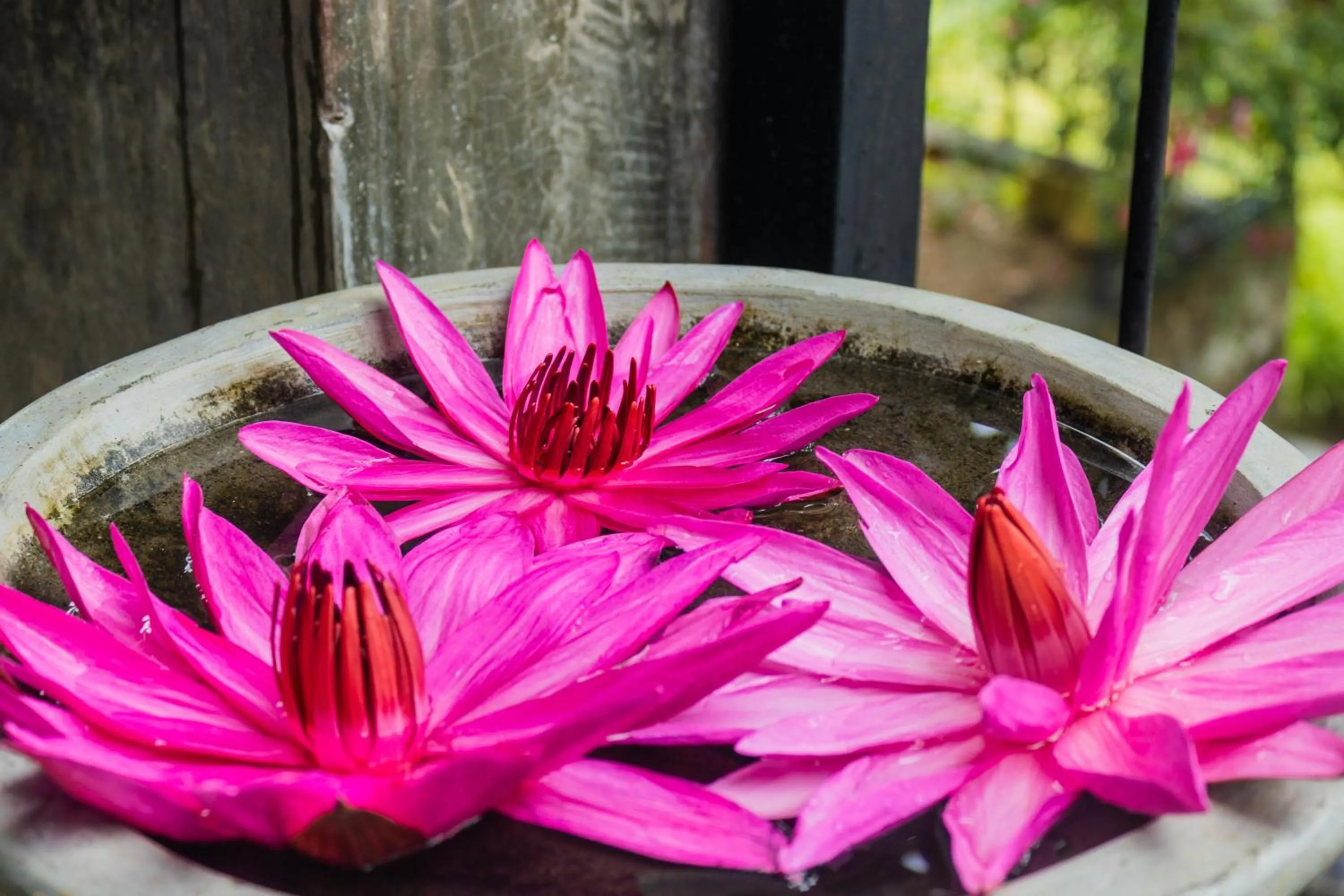 Property building in Kandy Victoria Eco Resort