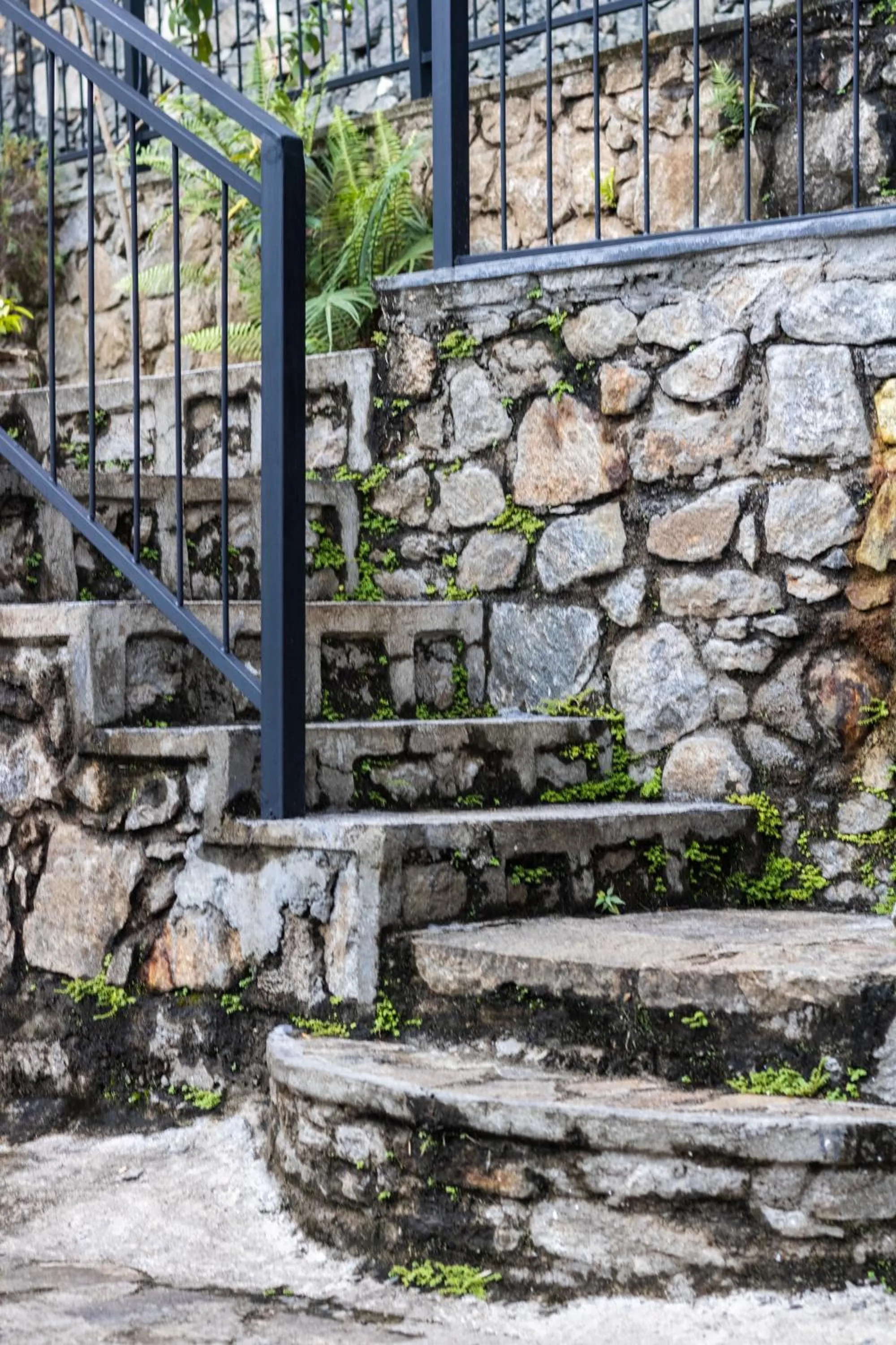 Property building in Kandy Victoria Eco Resort