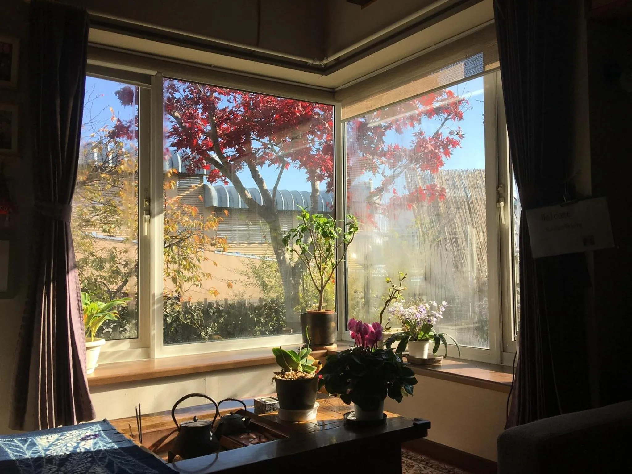 Garden in Guest House Chara