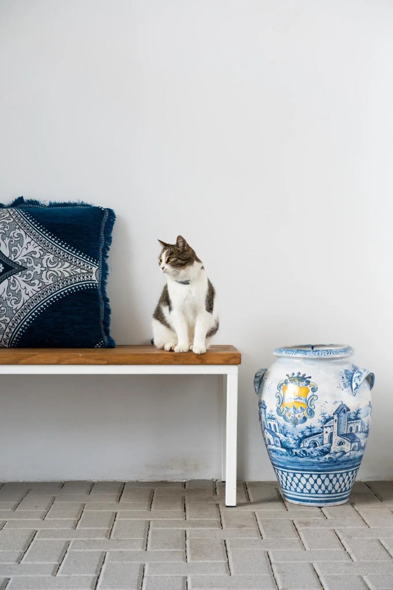 Pets in Marina Piccola 73