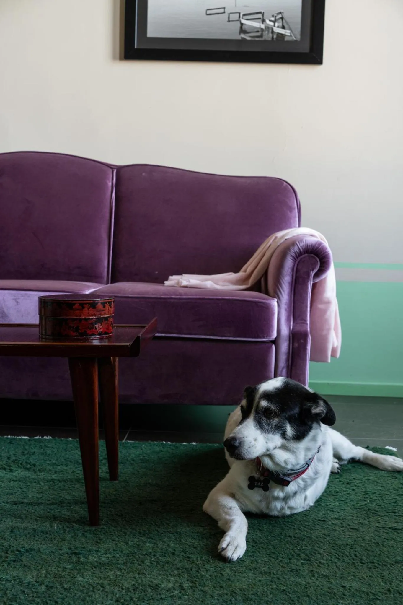 Pets in Marina Piccola 73