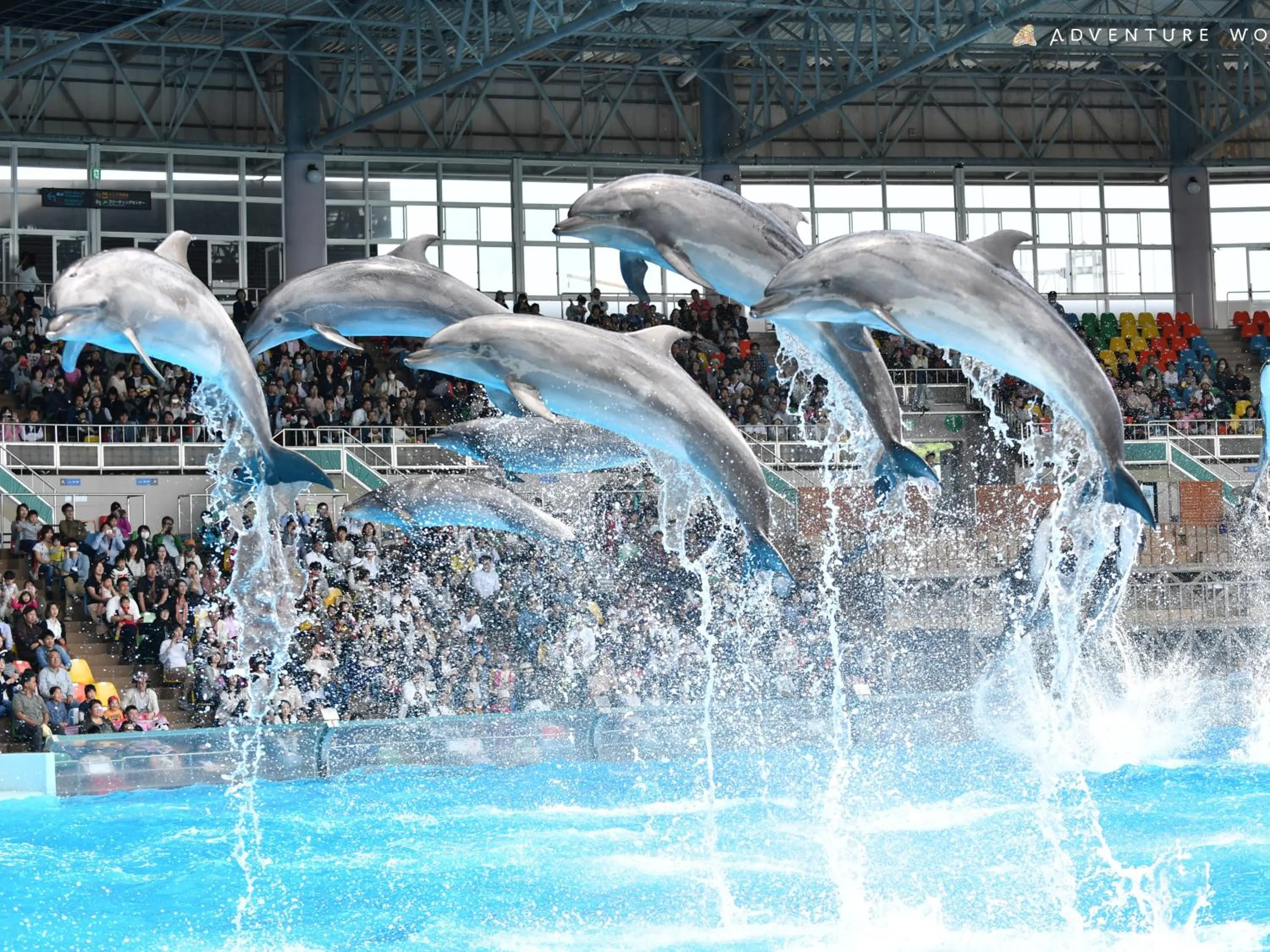 Nearby landmark in Musashi