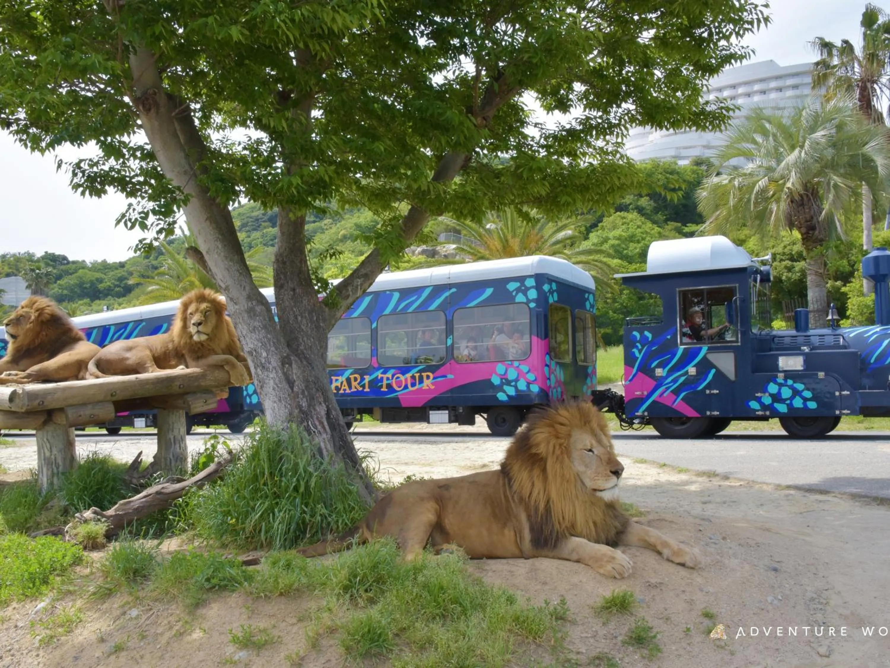 Nearby landmark in Musashi