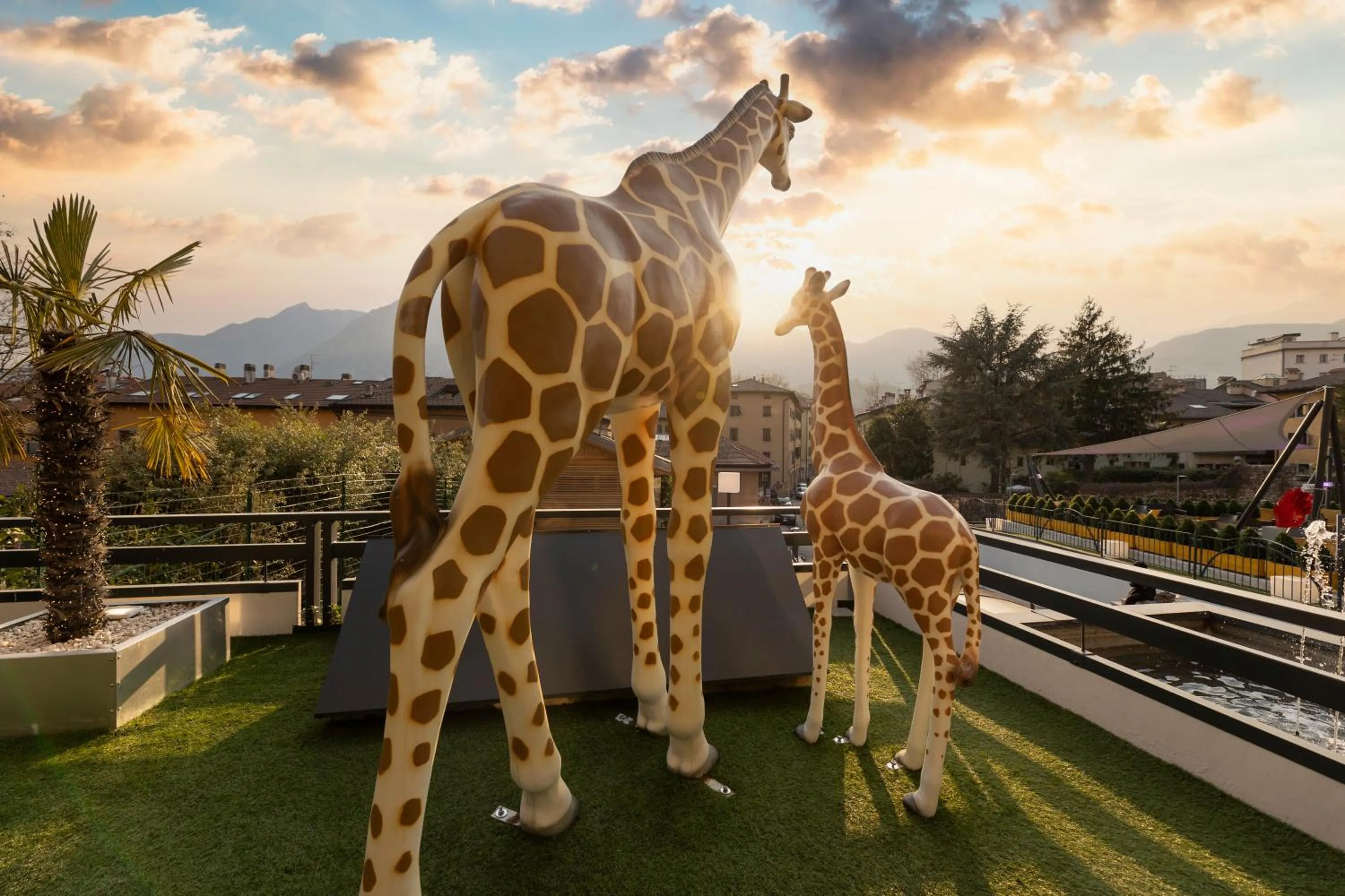 Animals in Hi Hotels Trento - Wellness & Spa Adults Only