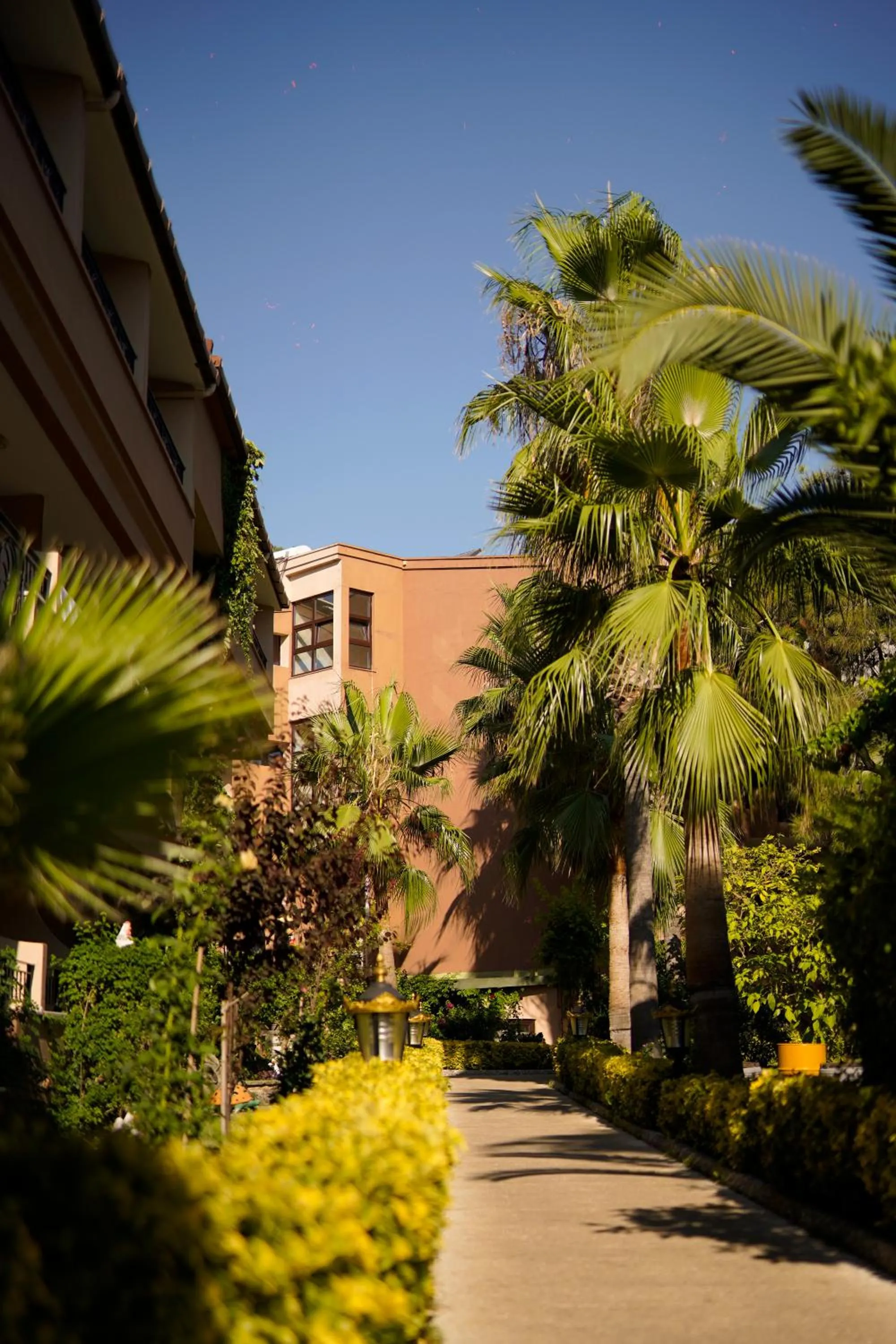 Garden in Aleria Belport Beach Hotel