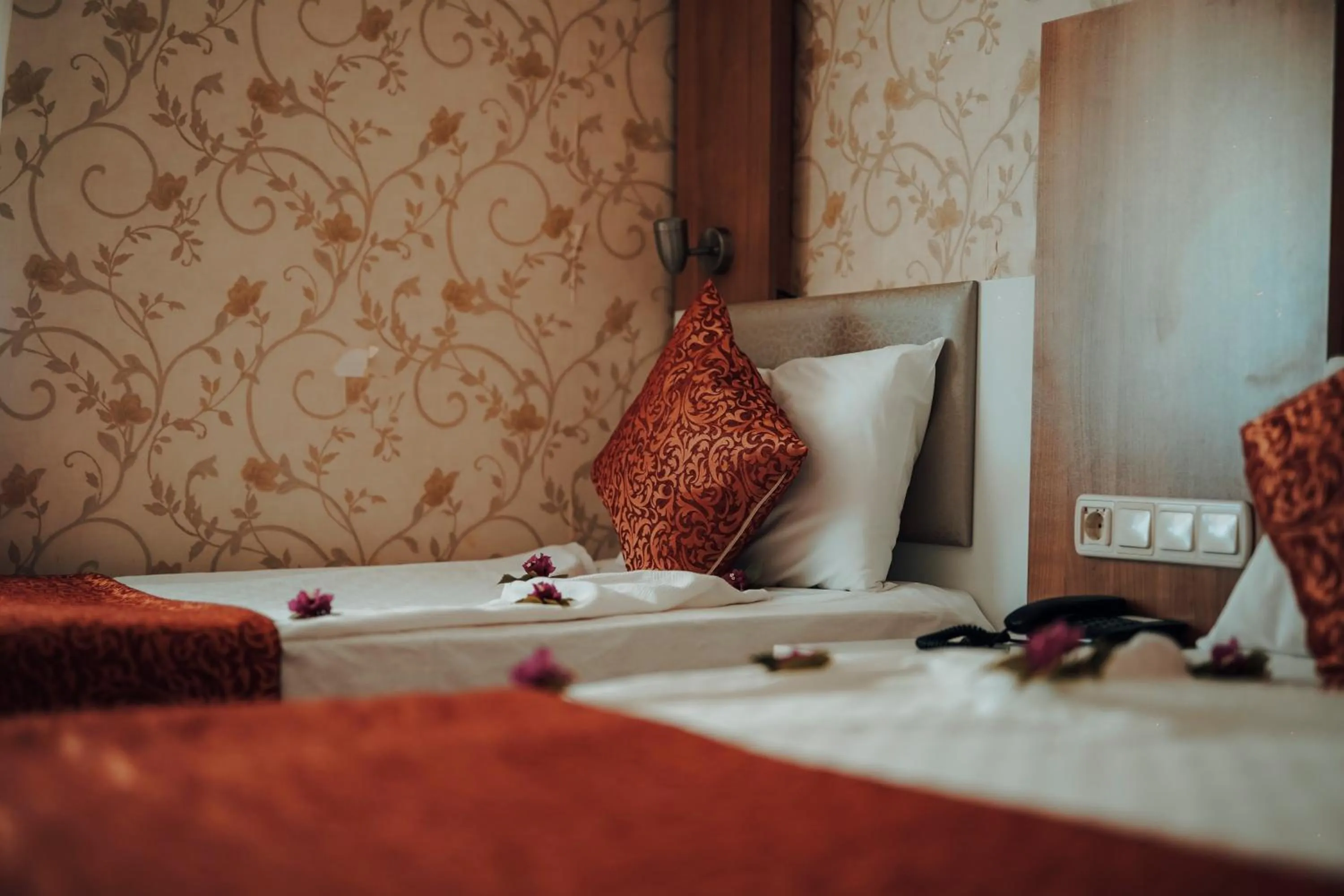 Photo of the whole room in Aleria Belport Beach Hotel