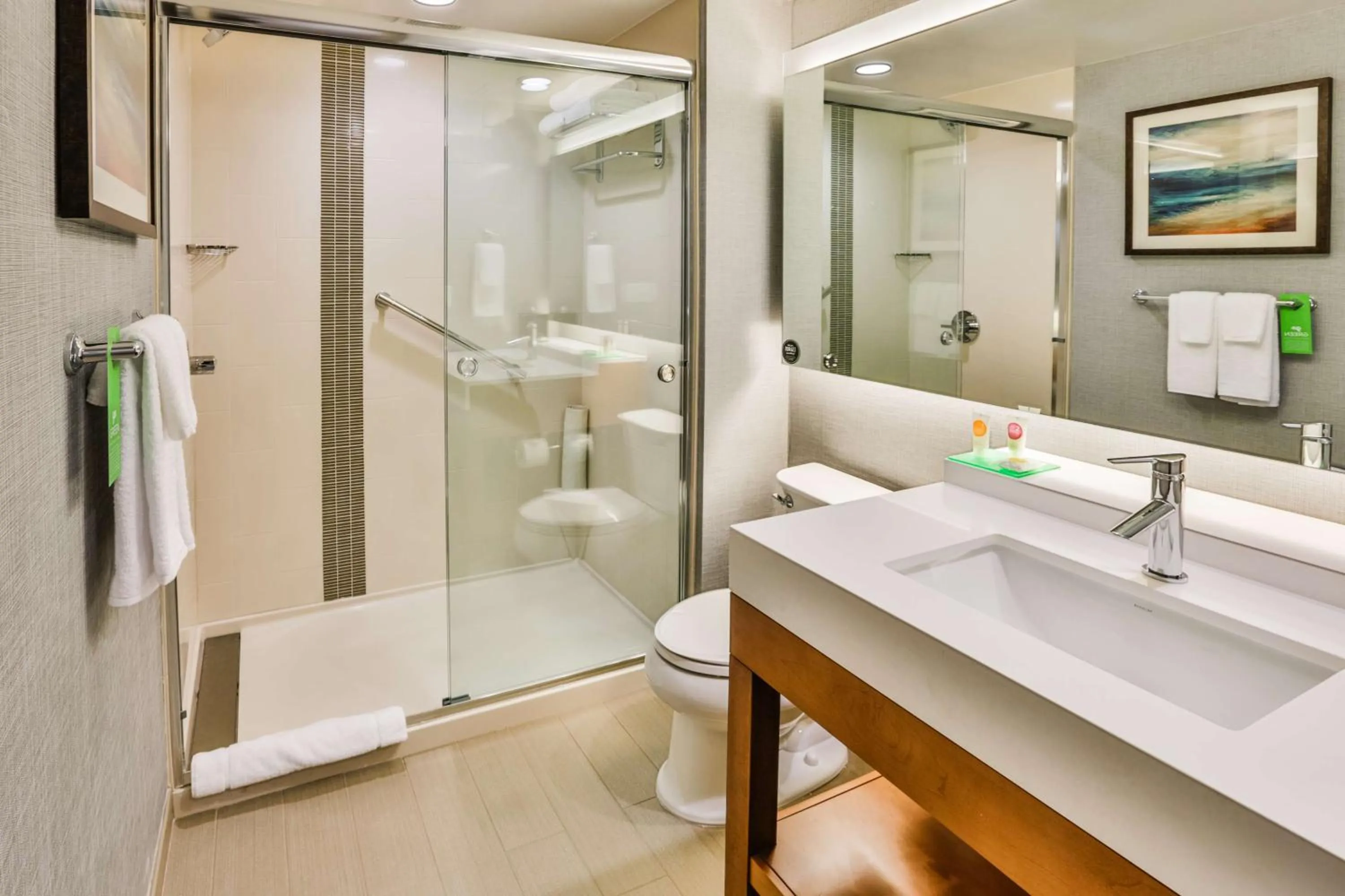 Bathroom in Hyatt Place Greenville Downtown