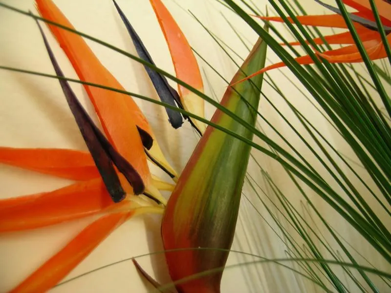 Decorative detail in Garni Rosa Delle Alpi