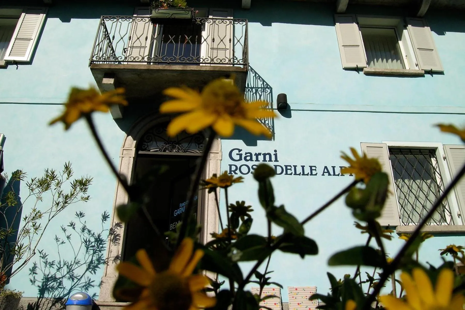 Garni Rosa Delle Alpi