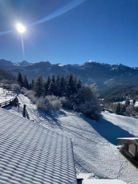 Winter in FORESTO holiday apartments