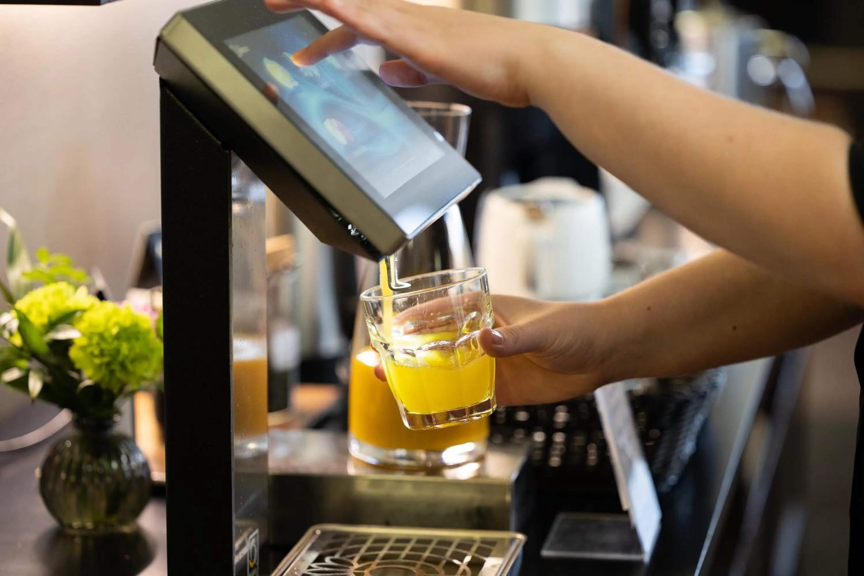 Finlandia Hotel Alba