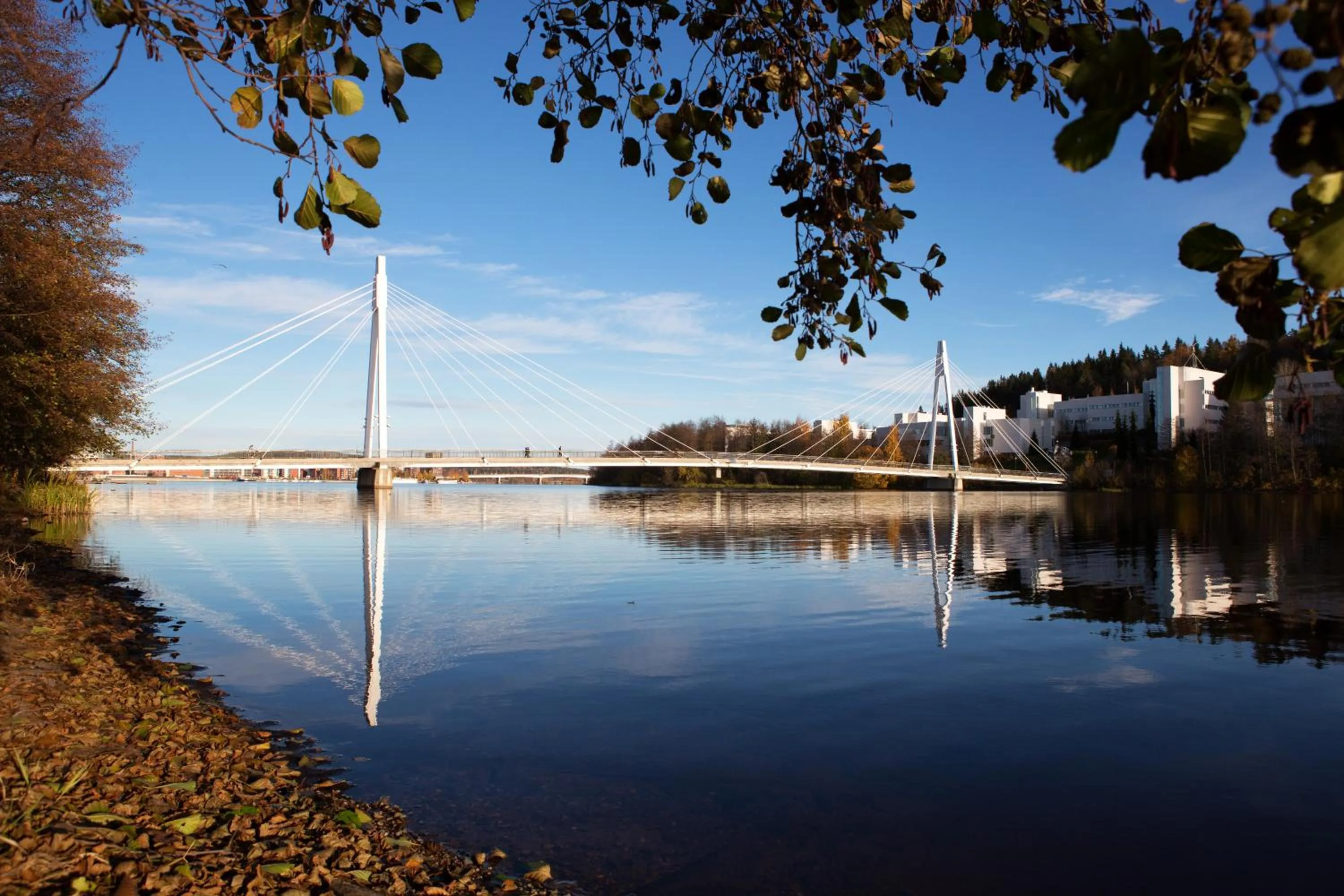 Day in Finlandia Hotel Alba