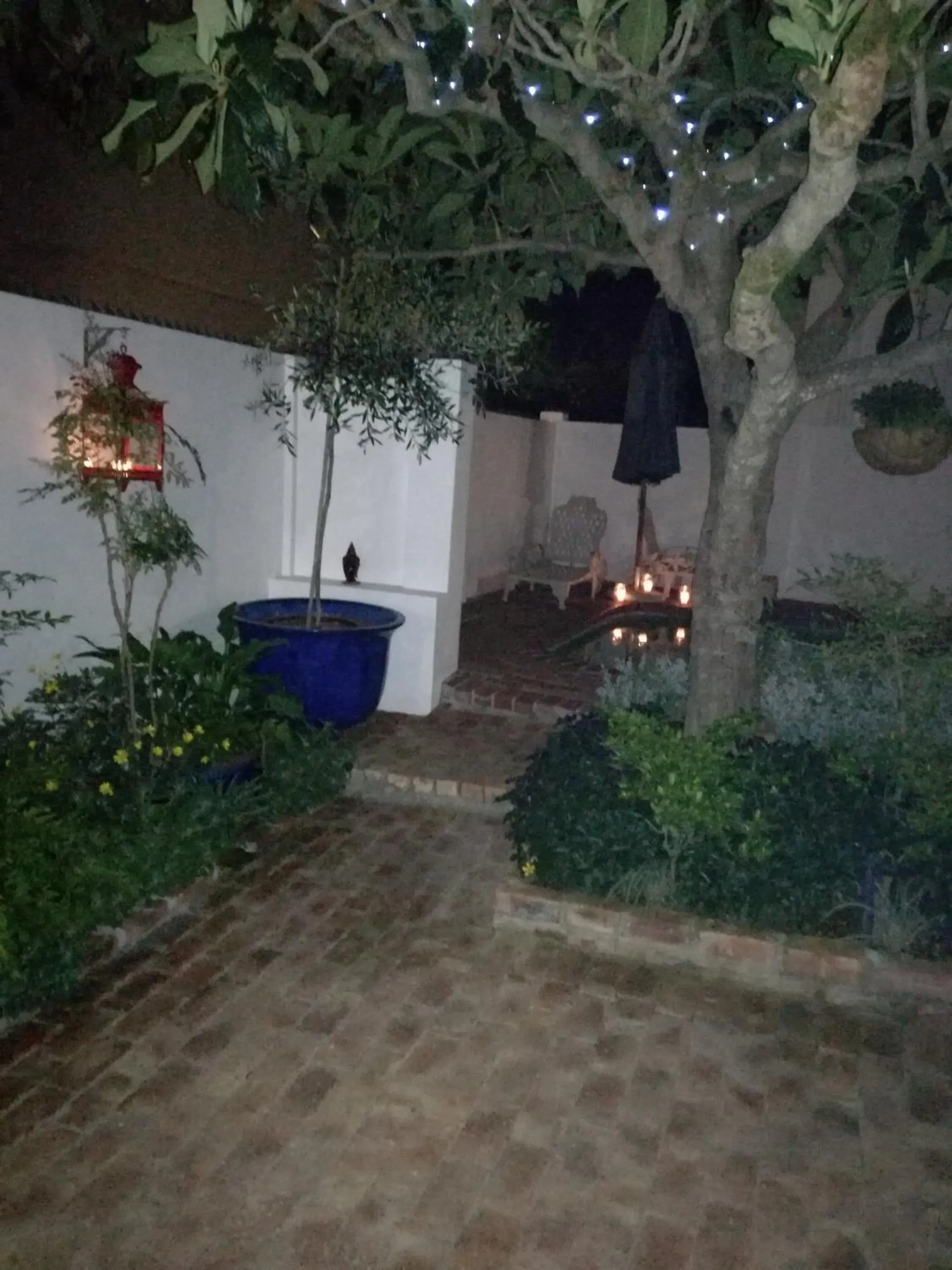 Night in Bleu Cobalt Cottage