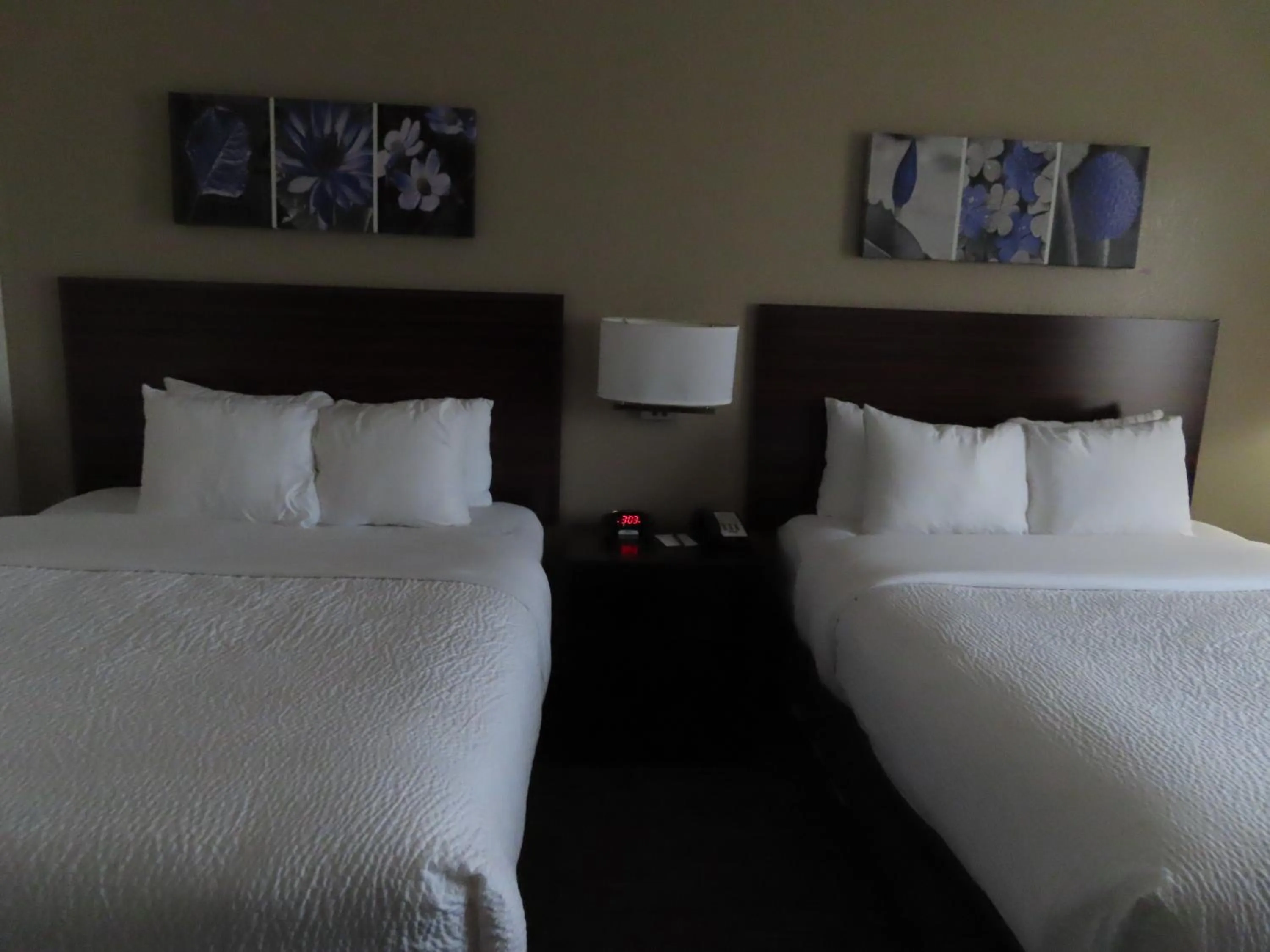 Bed in Sleep Inn & Suites Denver International Airport