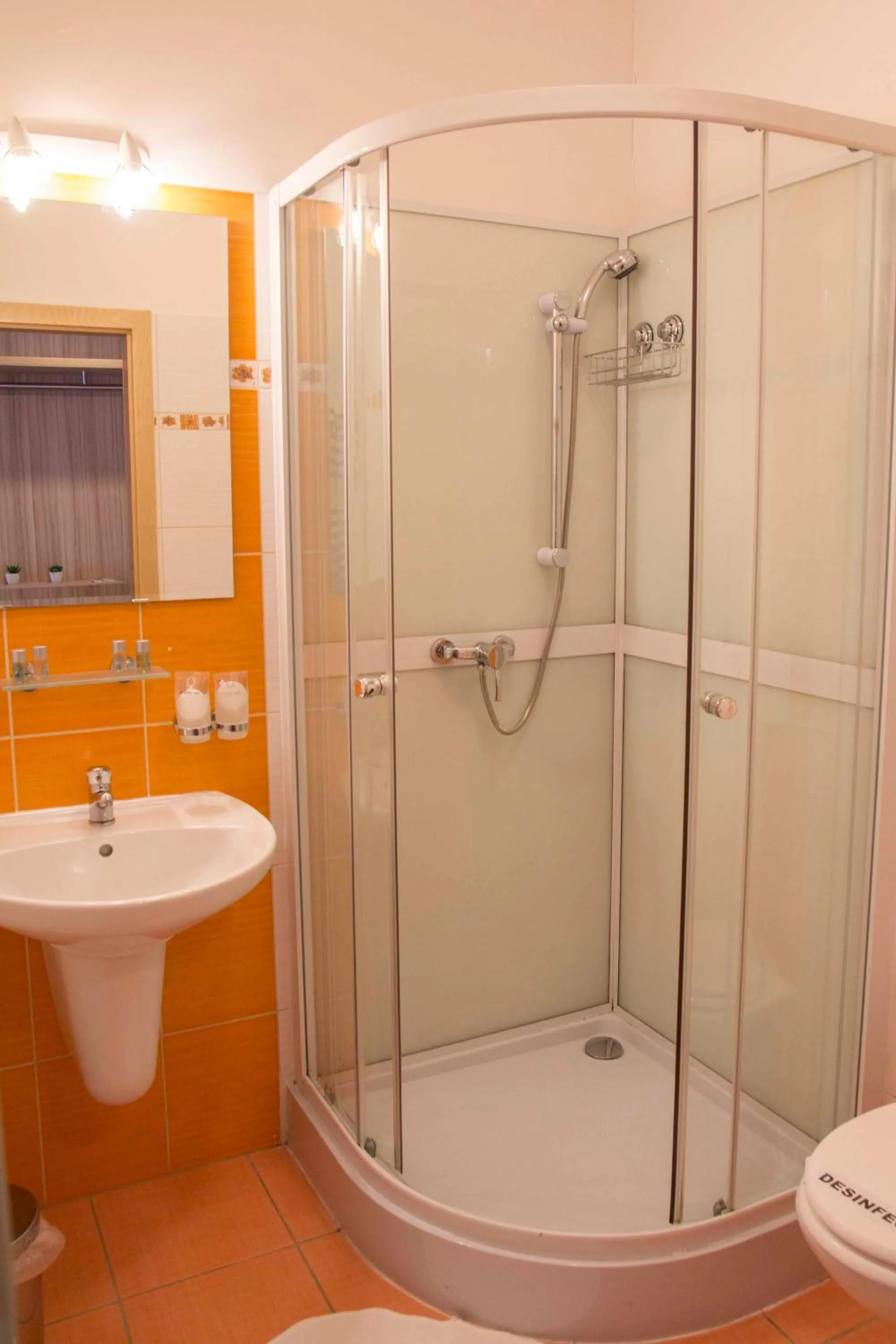 Shower in Mini Hotel Akord