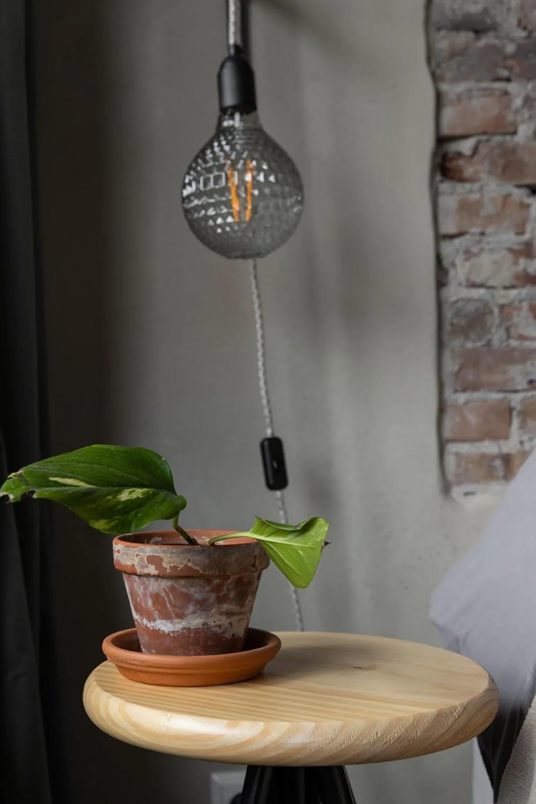 Property building in De oude slaght- luxe suite met buitensauna