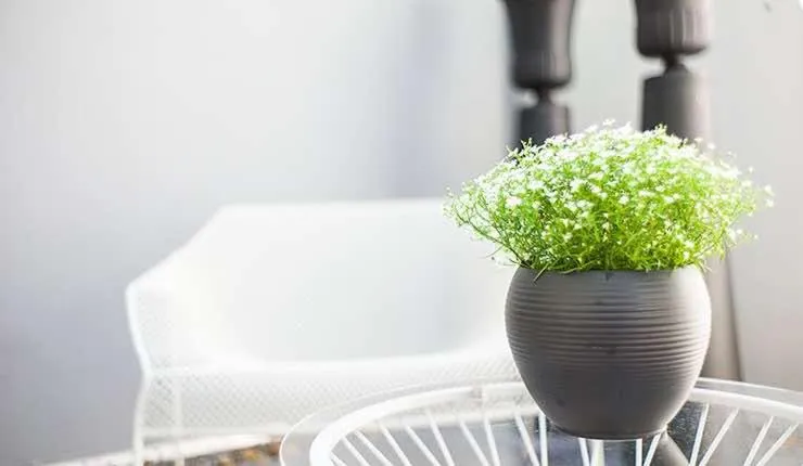 Designhotel Rosenbohm