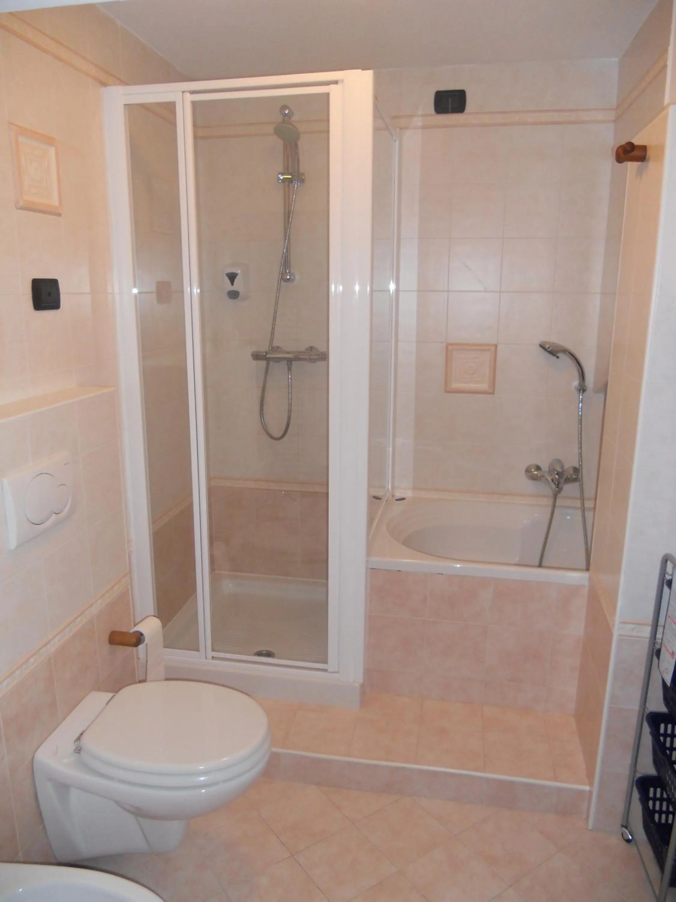 Toilet in Hotel Stella Alpina