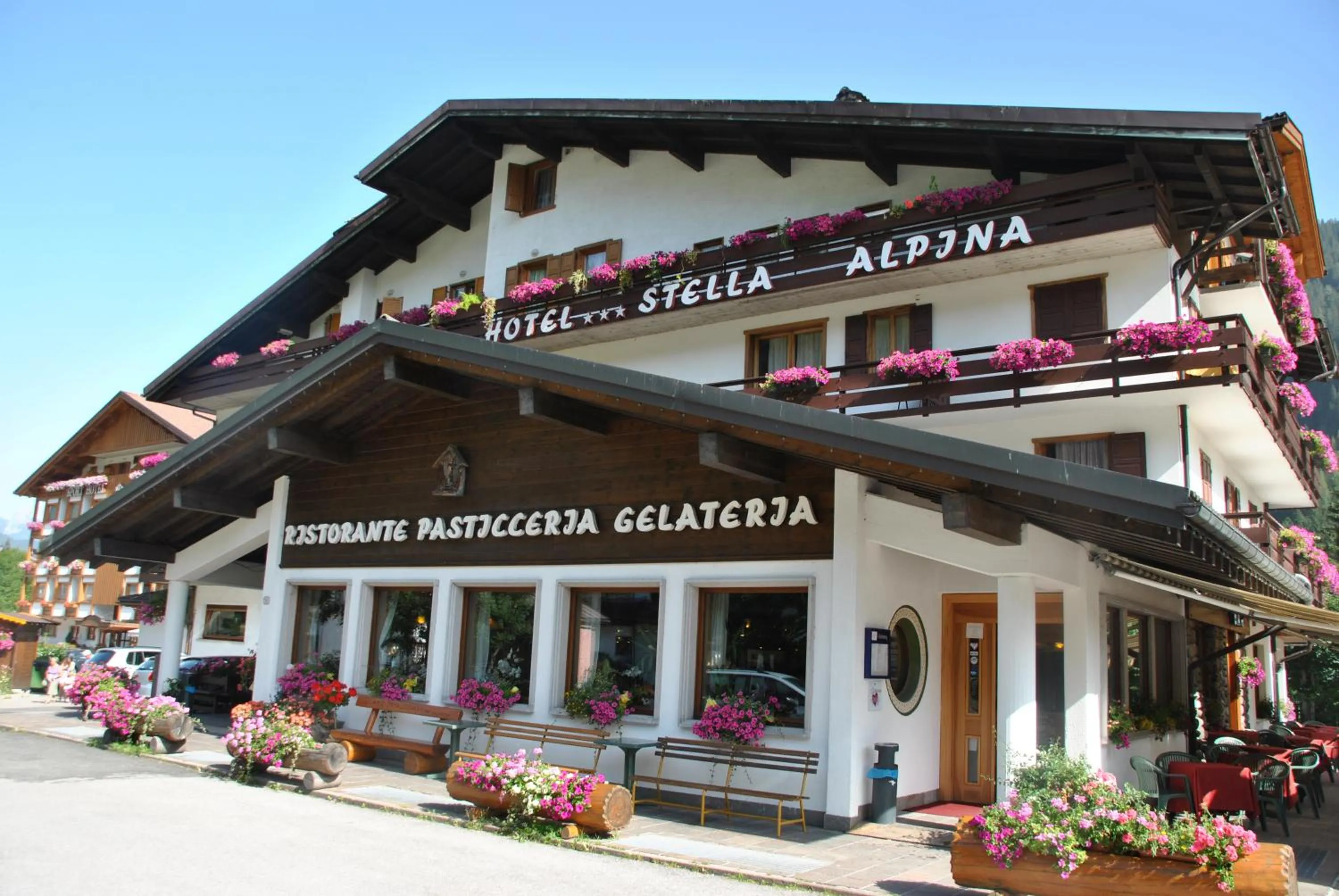Facade/entrance in Hotel Stella Alpina