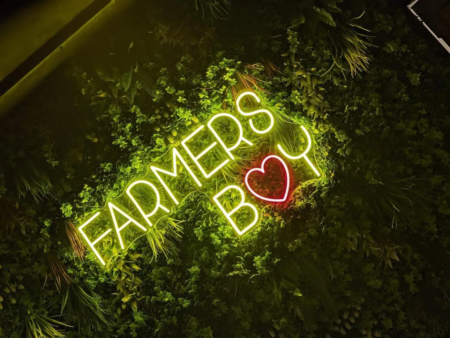 Communal lounge/ TV room in The Farmers Boy Inn Guest House