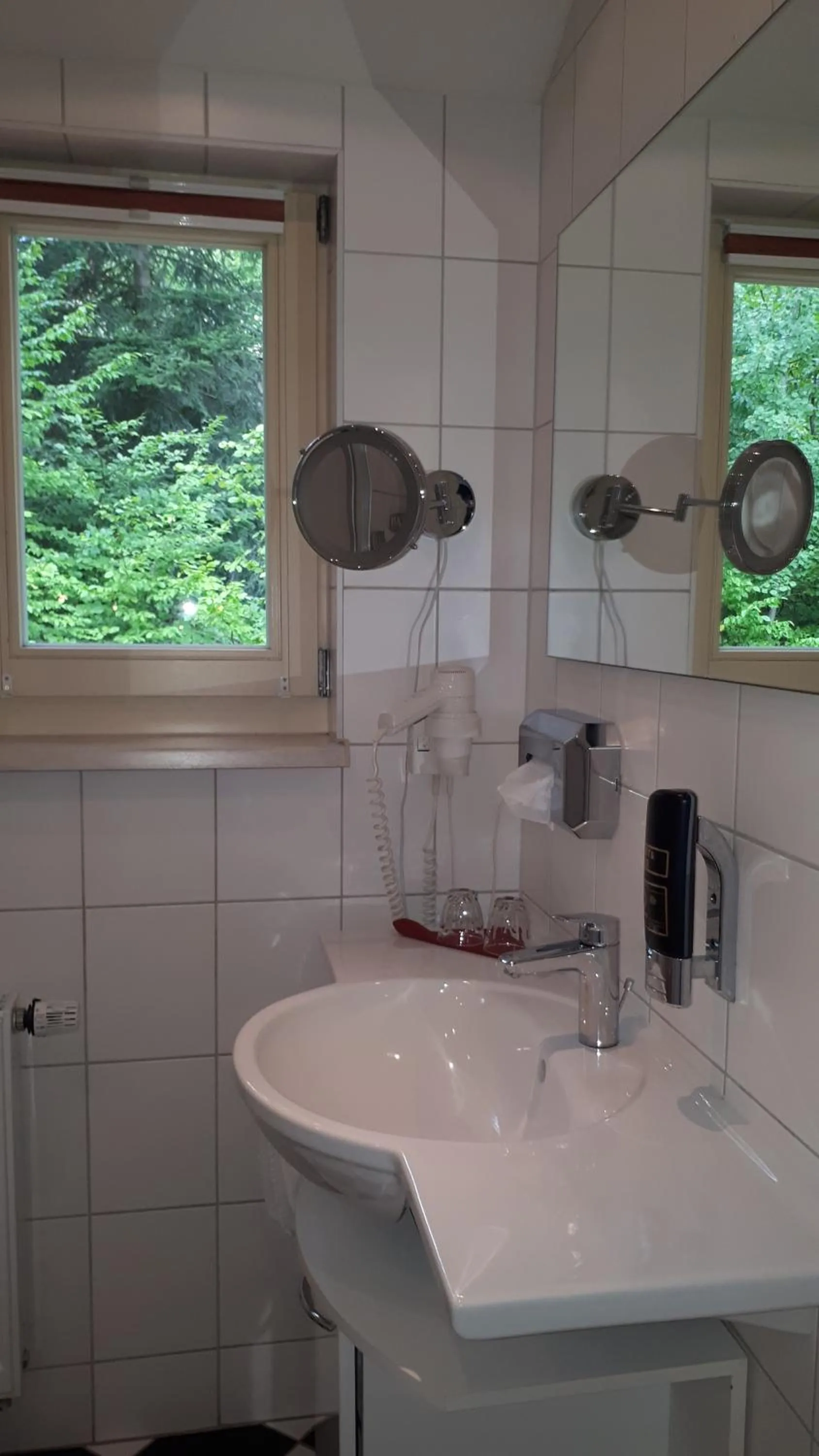 Bathroom in Hotel Habichtstein