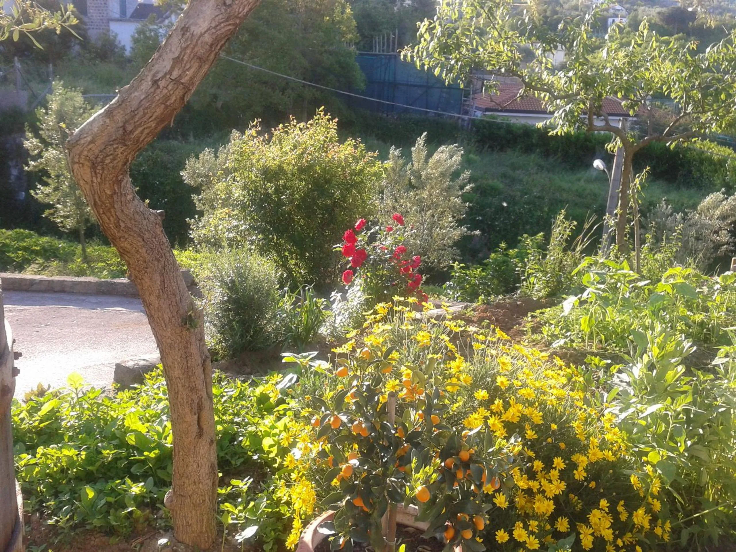 Day in Il Cottage B&B