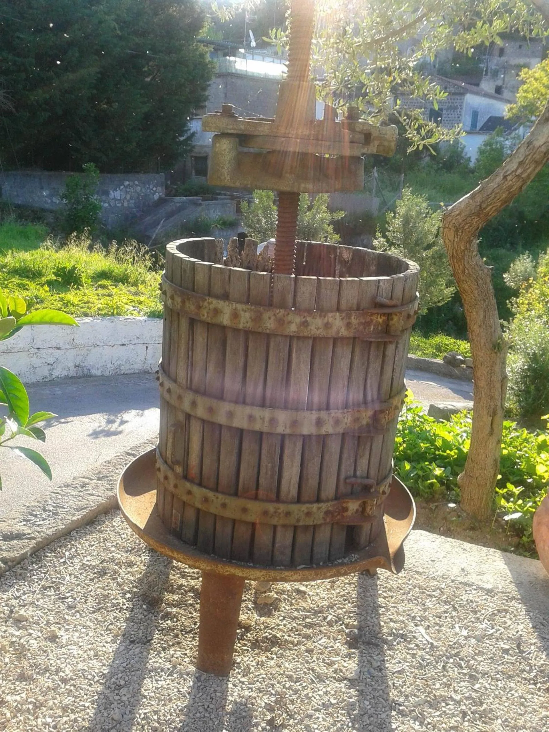 Day in Il Cottage B&B