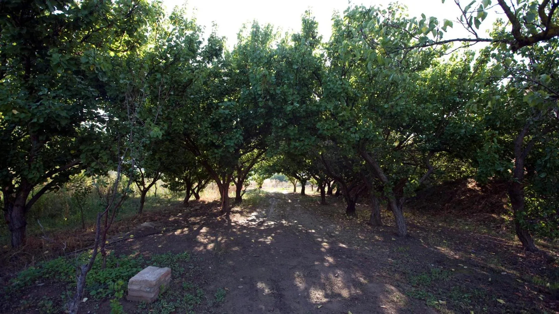 Natural landscape in Hotel Vilar Riu de Baix