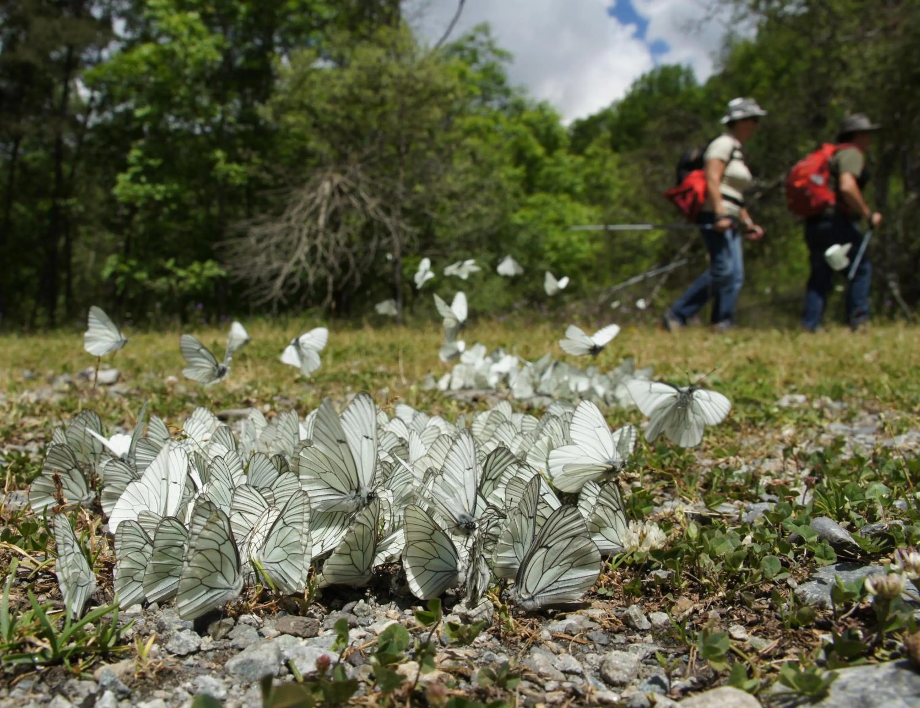 Chambres d'hotes Les Clarines