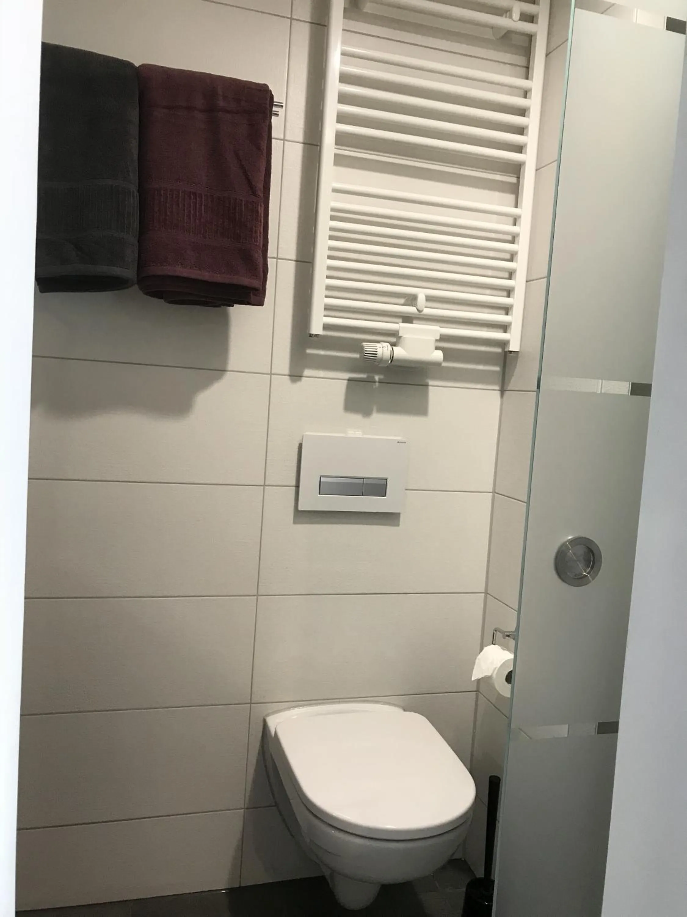 Toilet in Apartmenthaus Burgenheimat in Rhens bei Koblenz