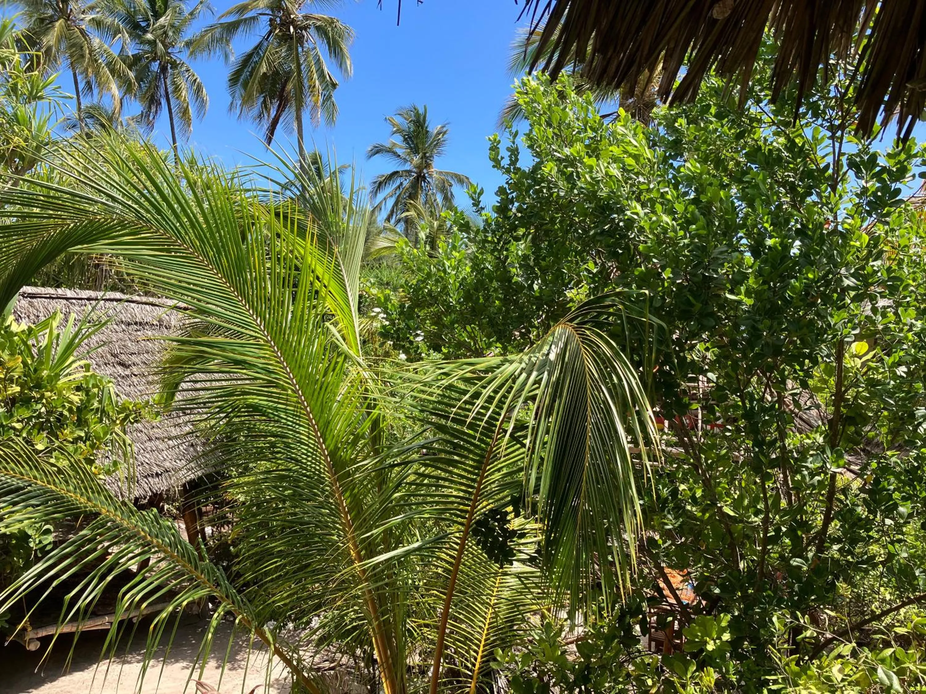 Garden view in Mount Zion Lodge