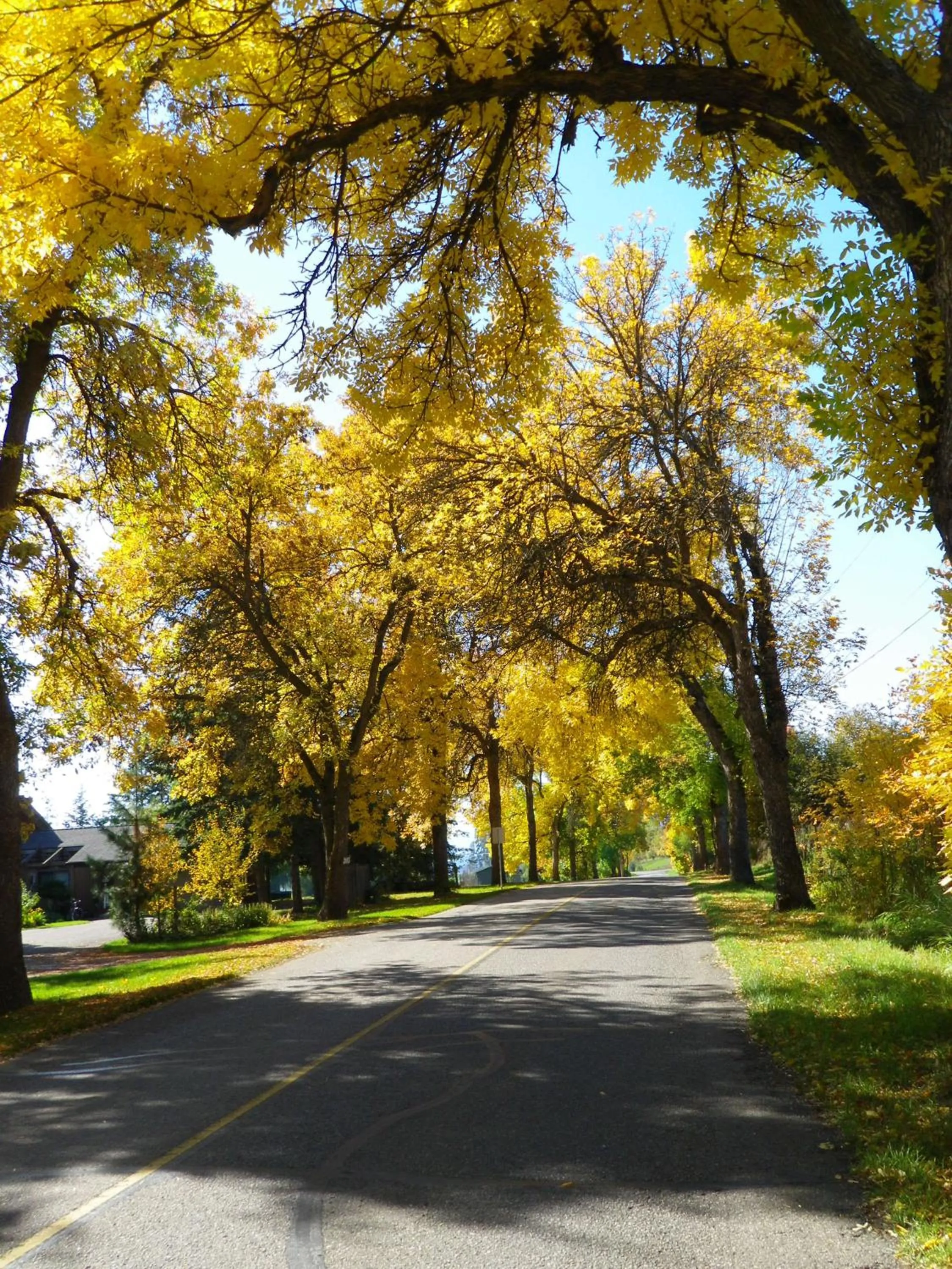 Day in Armstrong Inn