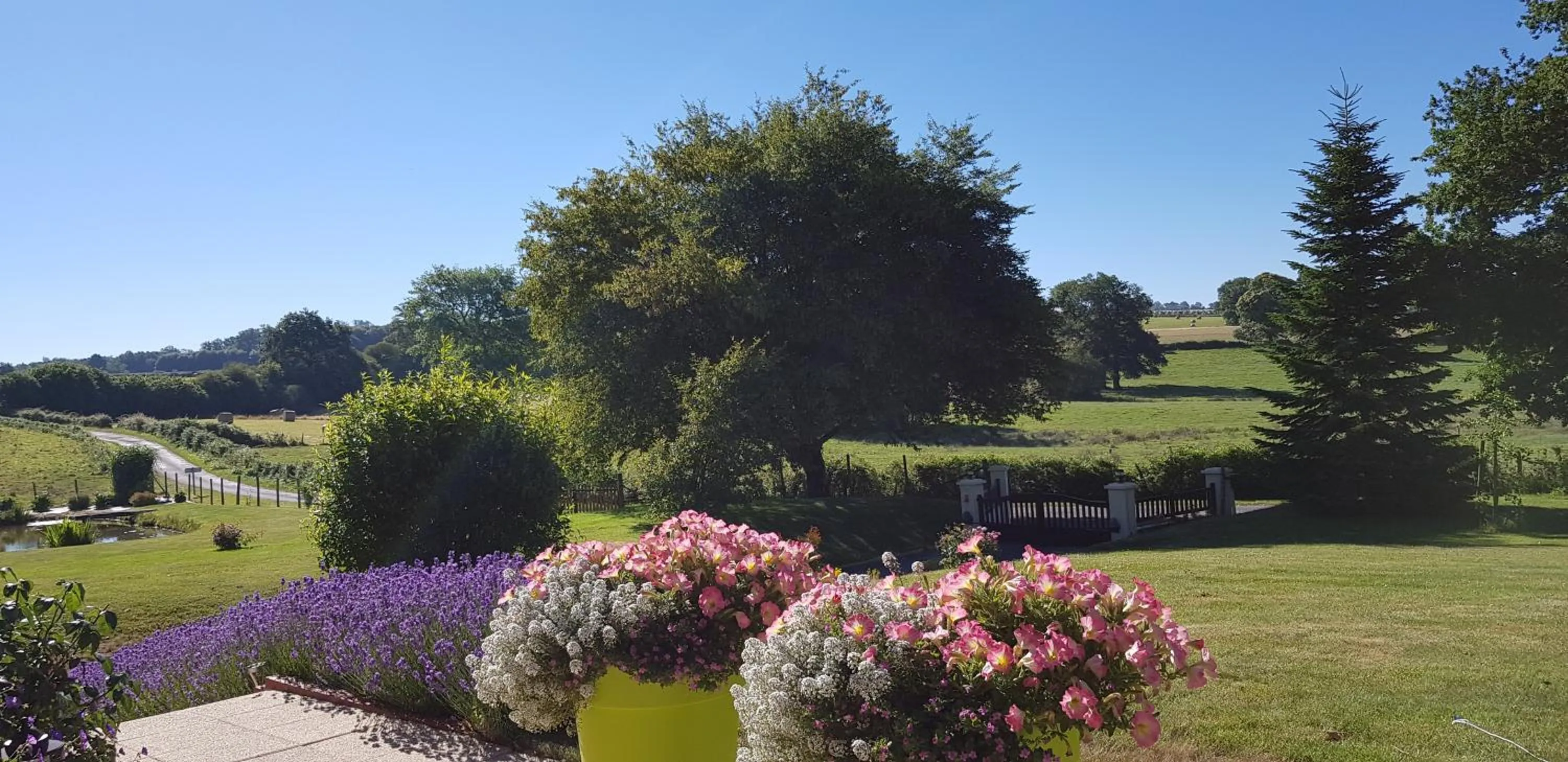Garden view in Maison Maton