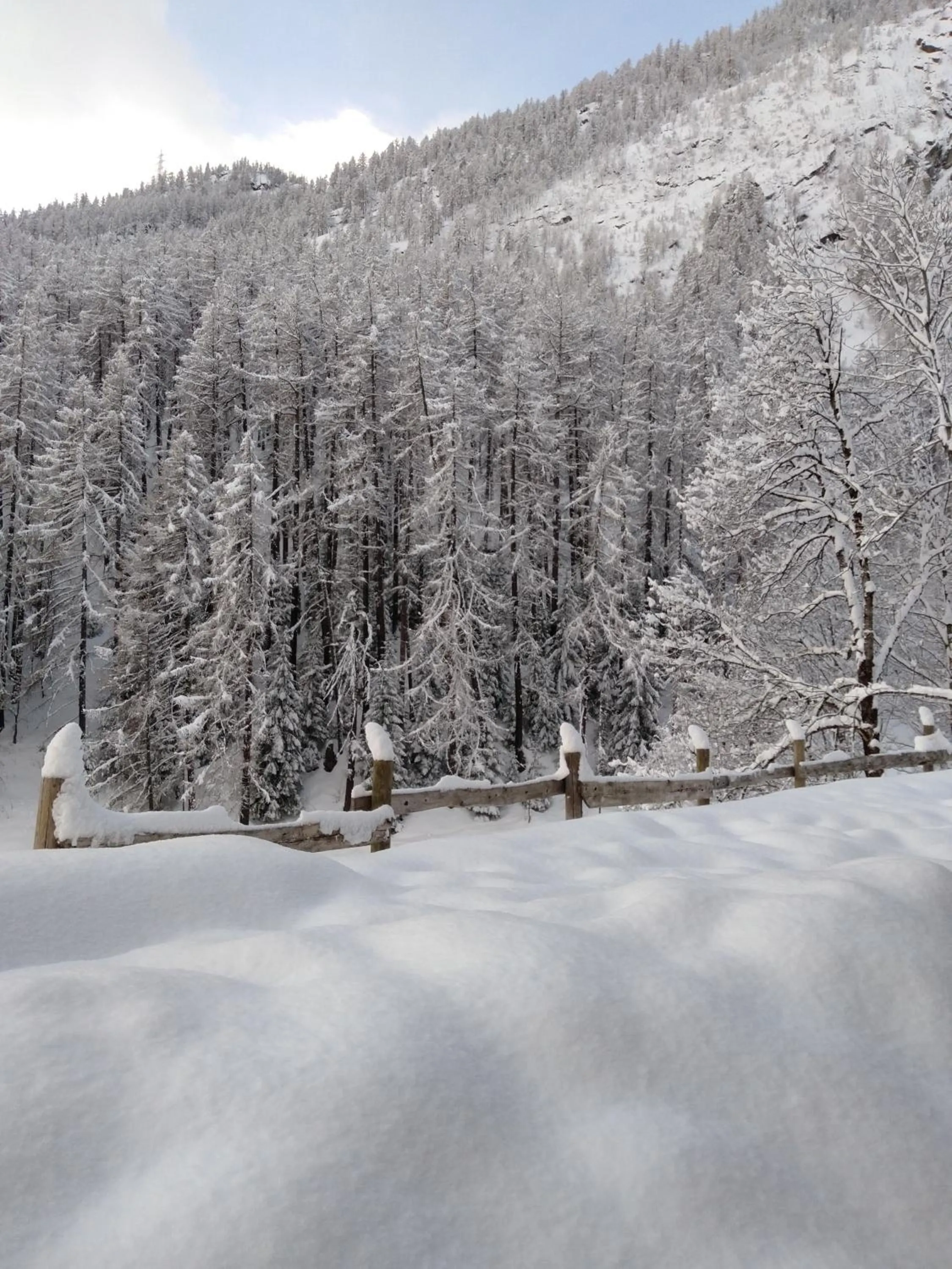Natural landscape in Nuit a Pleiney