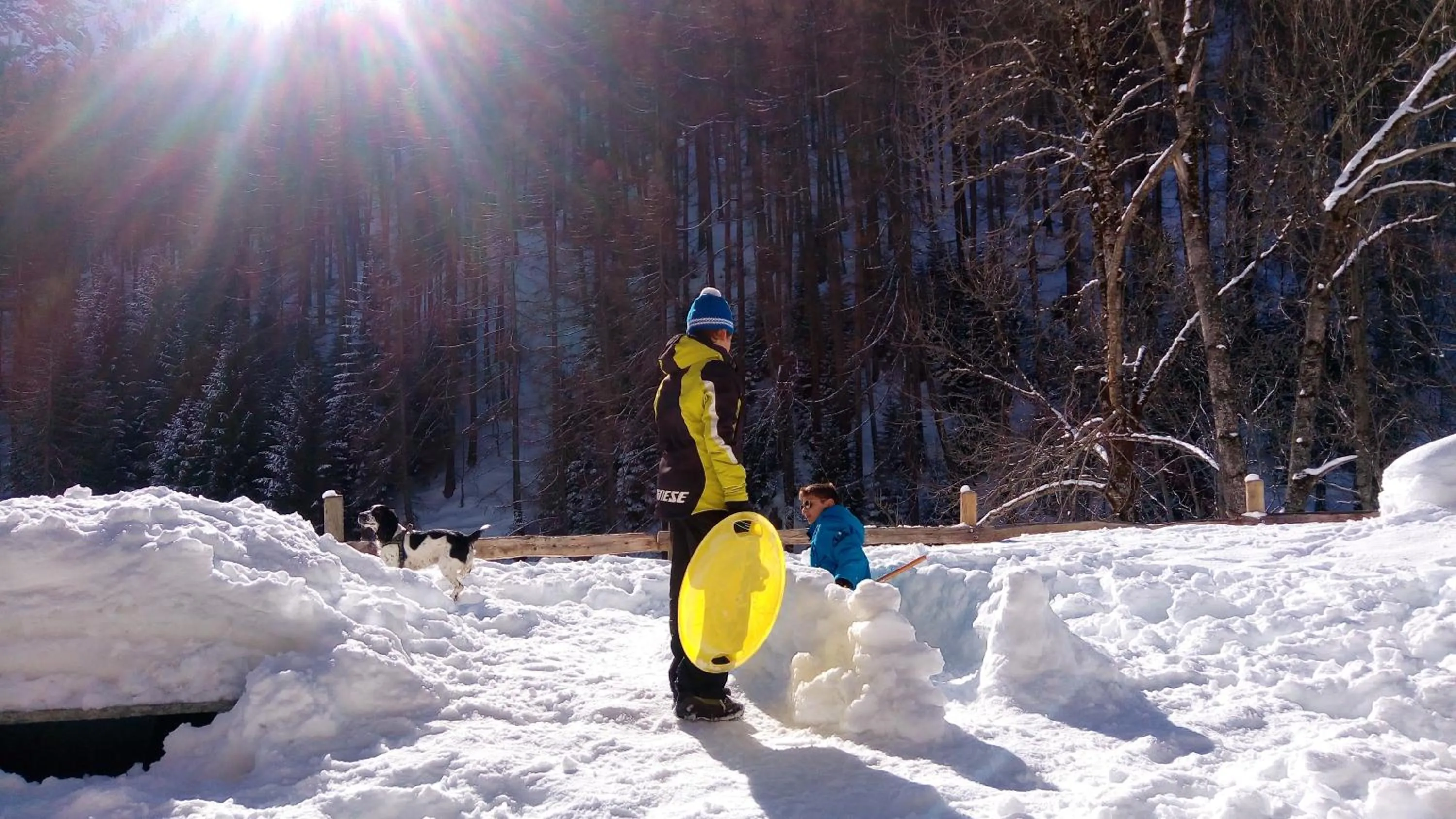 Natural landscape in Nuit a Pleiney